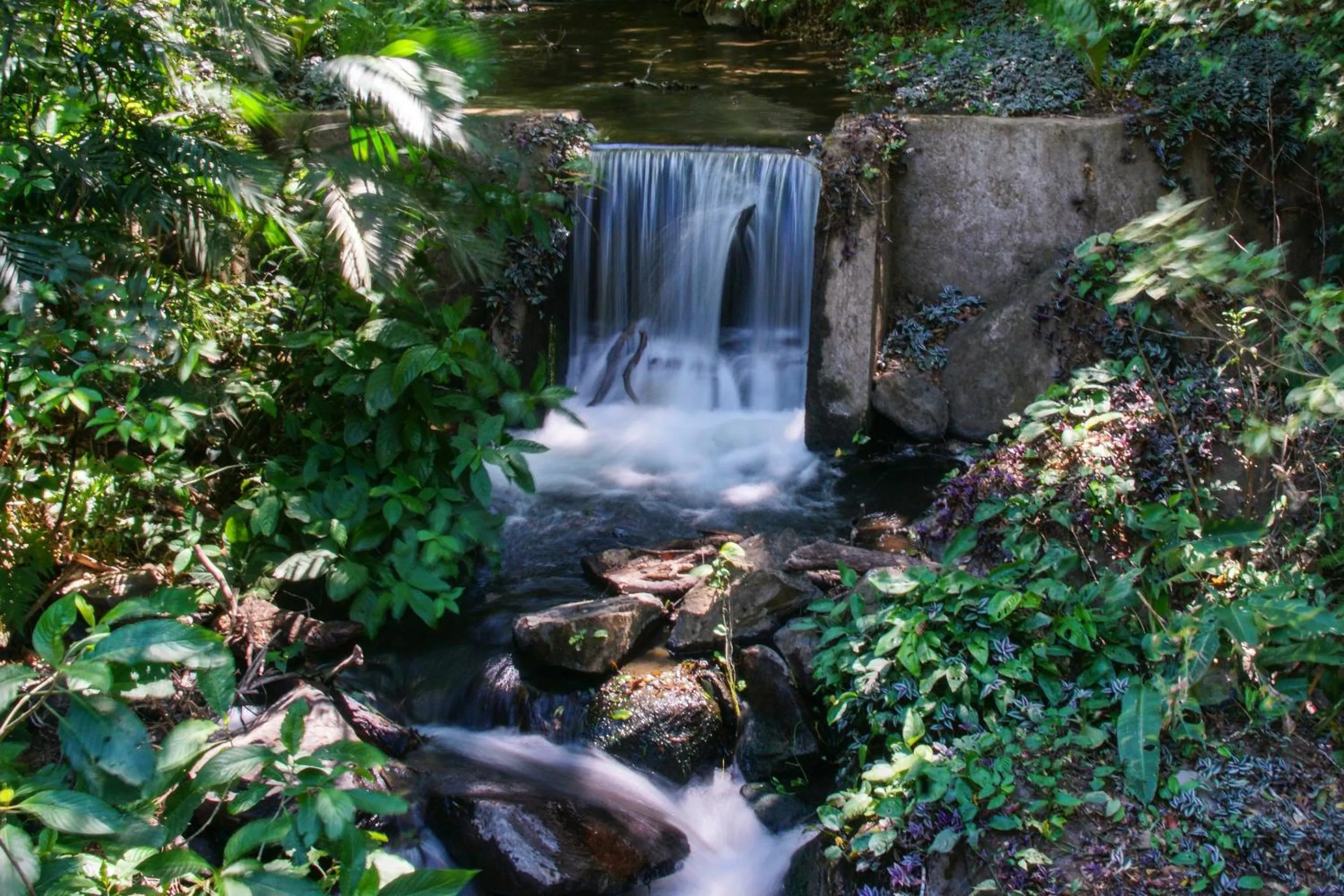 Nearby landmark in Buena Vista del Rincón Eco Adventure Park Hotel & Spa