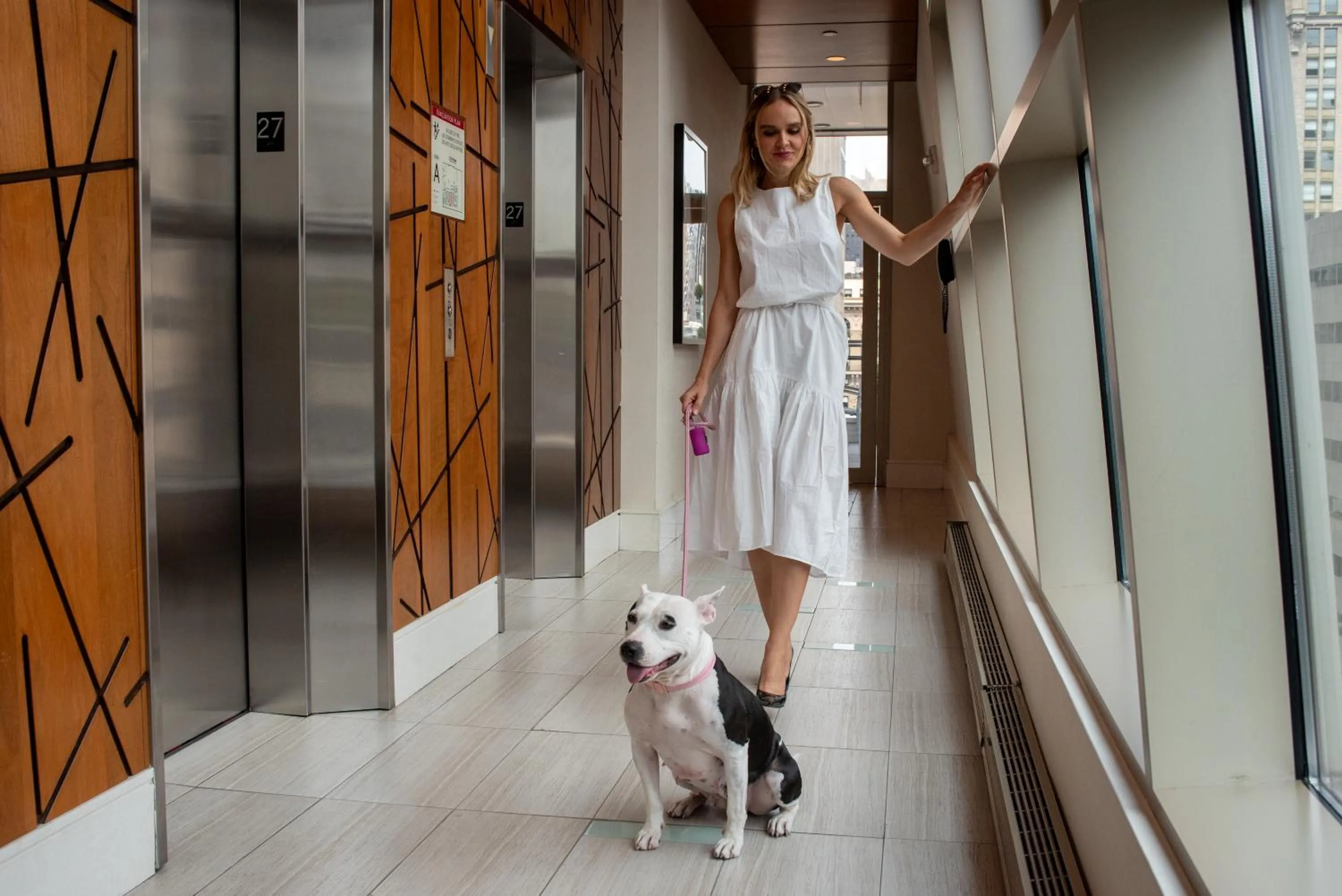 Pets in Hotel Boutique at Grand Central