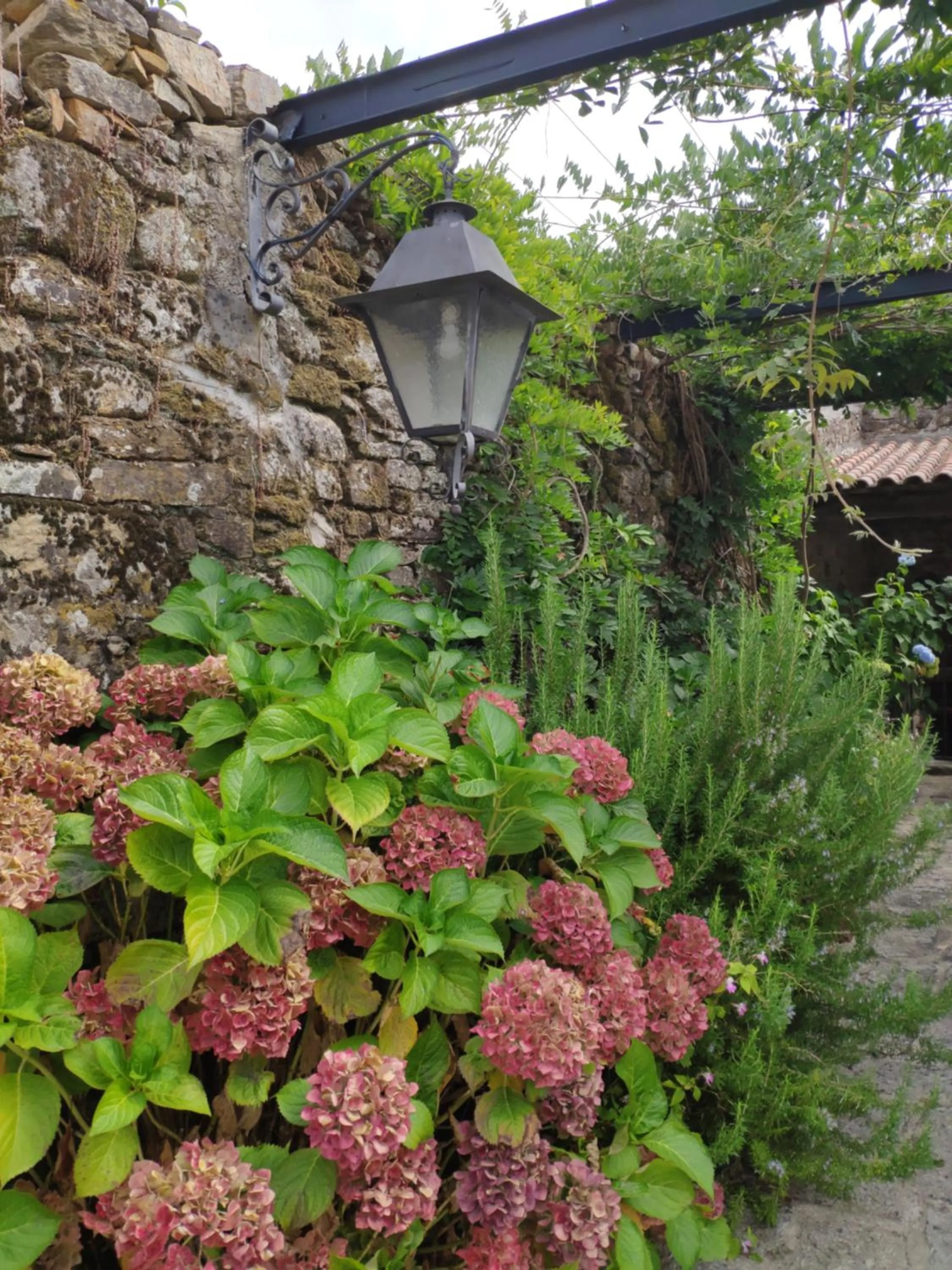 Patio in Solar de Maceira