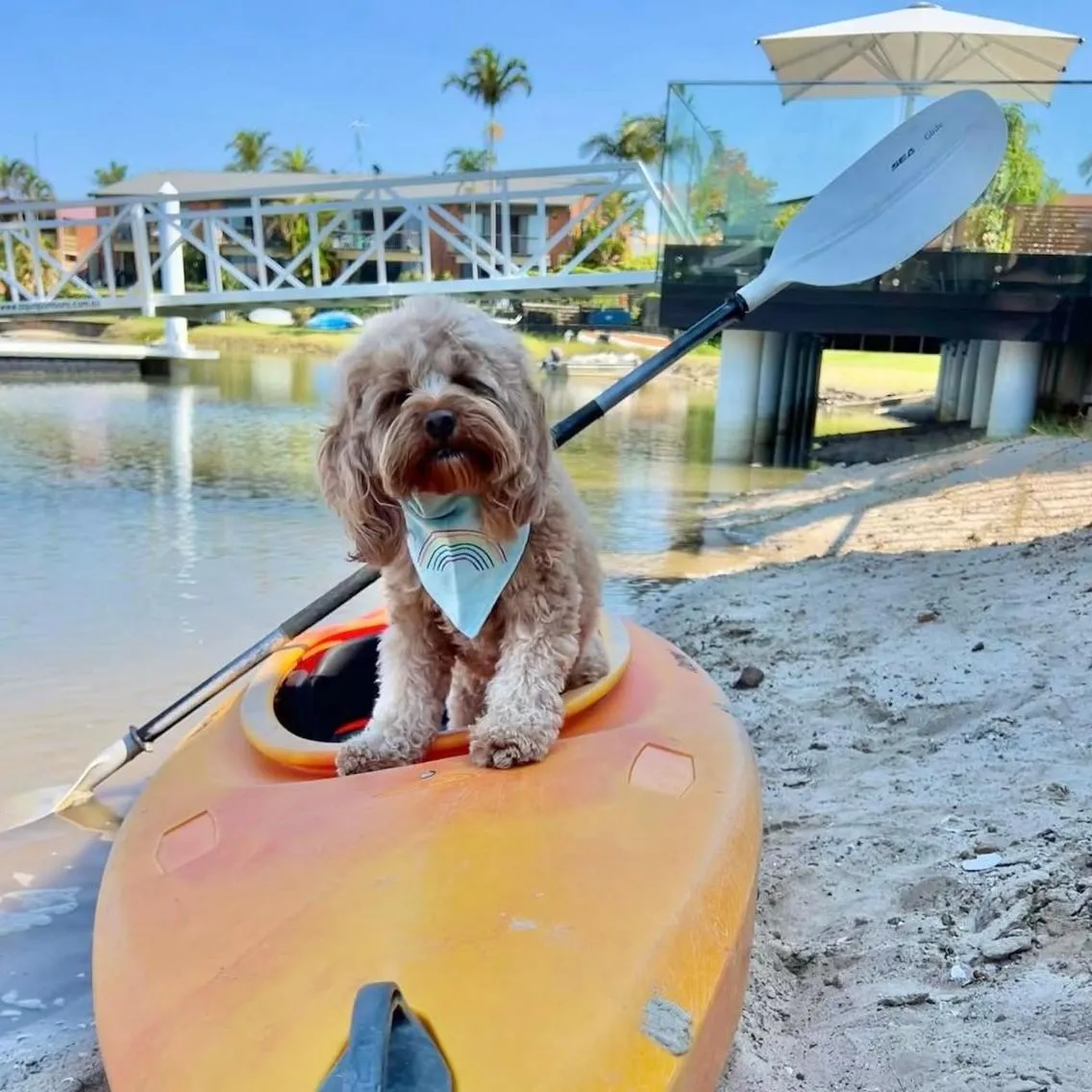 Saltwater Villas - Pet Friendly Accommodation