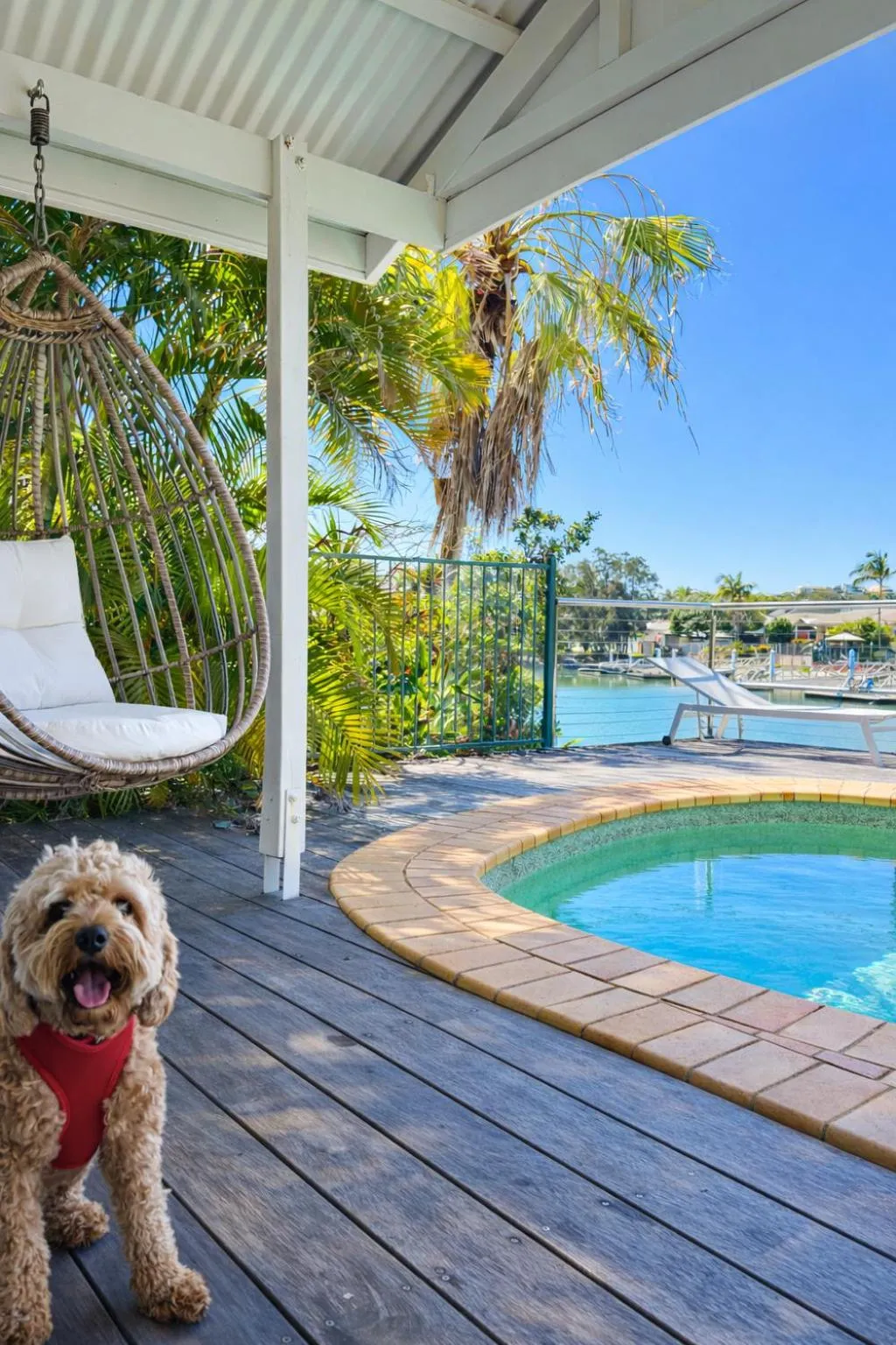 Pets in Saltwater Villas - Pet Friendly Accommodation