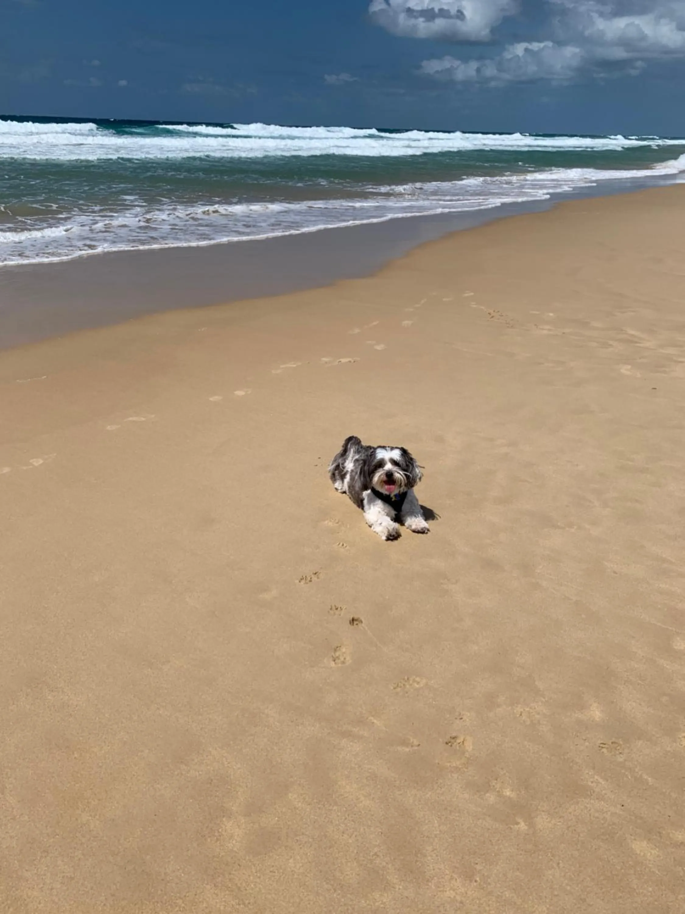 Property building in Saltwater Villas - Pet Friendly Accommodation