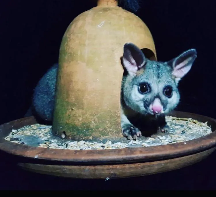 Aldgate Valley Bed and Breakfast