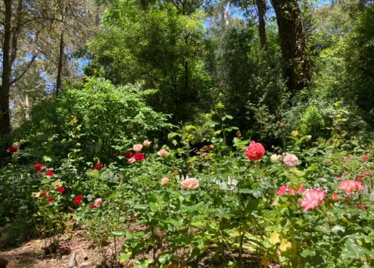 Aldgate Valley Bed and Breakfast