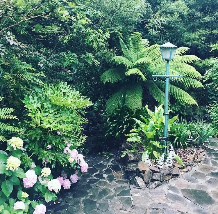 Aldgate Valley Bed and Breakfast