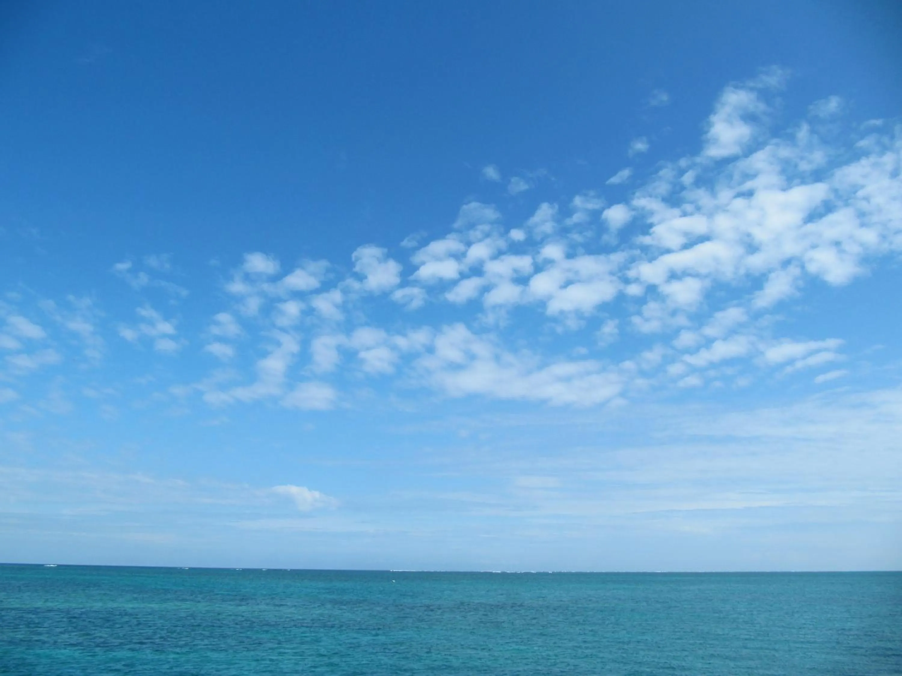 Natural landscape in Hotel Tulip Ishigakijima