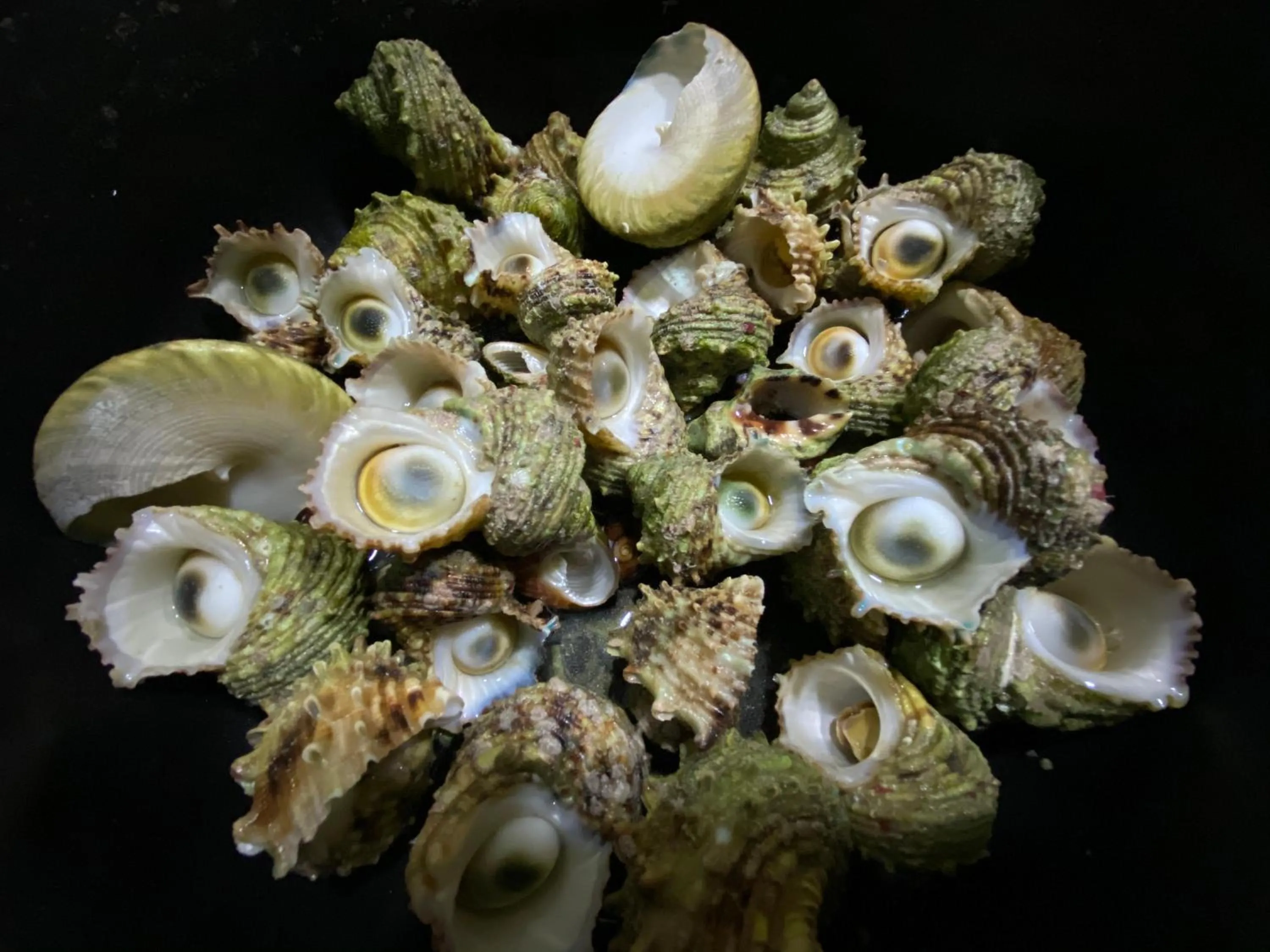 Food and drinks in White Tern Maldives