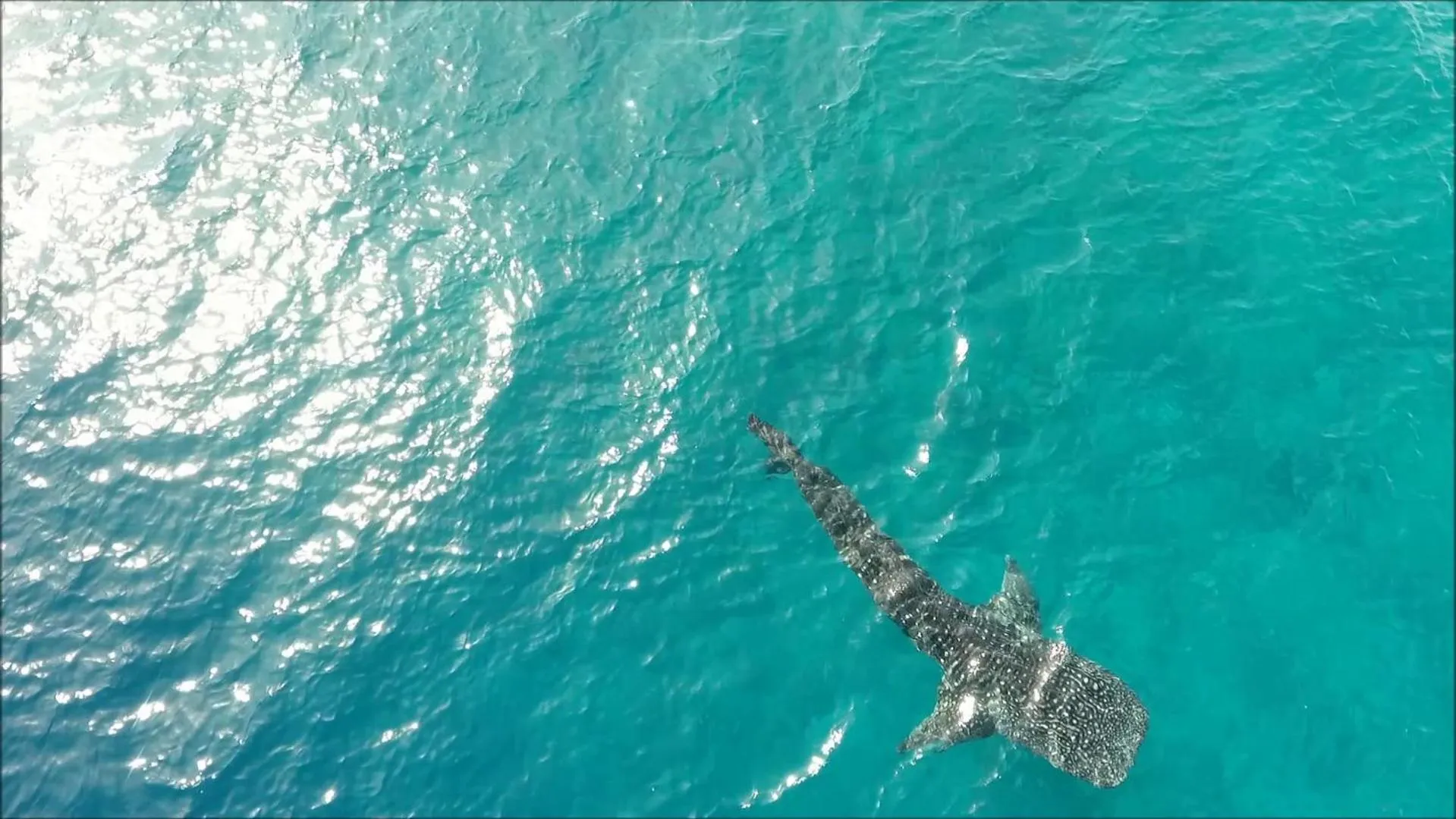 Bird's eye view in White Tern Maldives