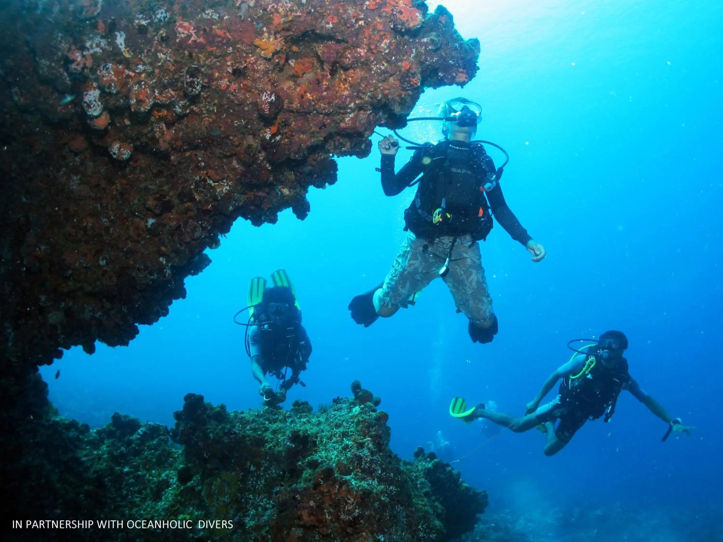 Snorkeling in White Tern Maldives