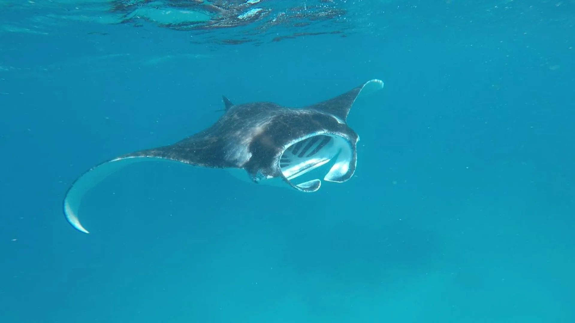 Bird's eye view in White Tern Maldives