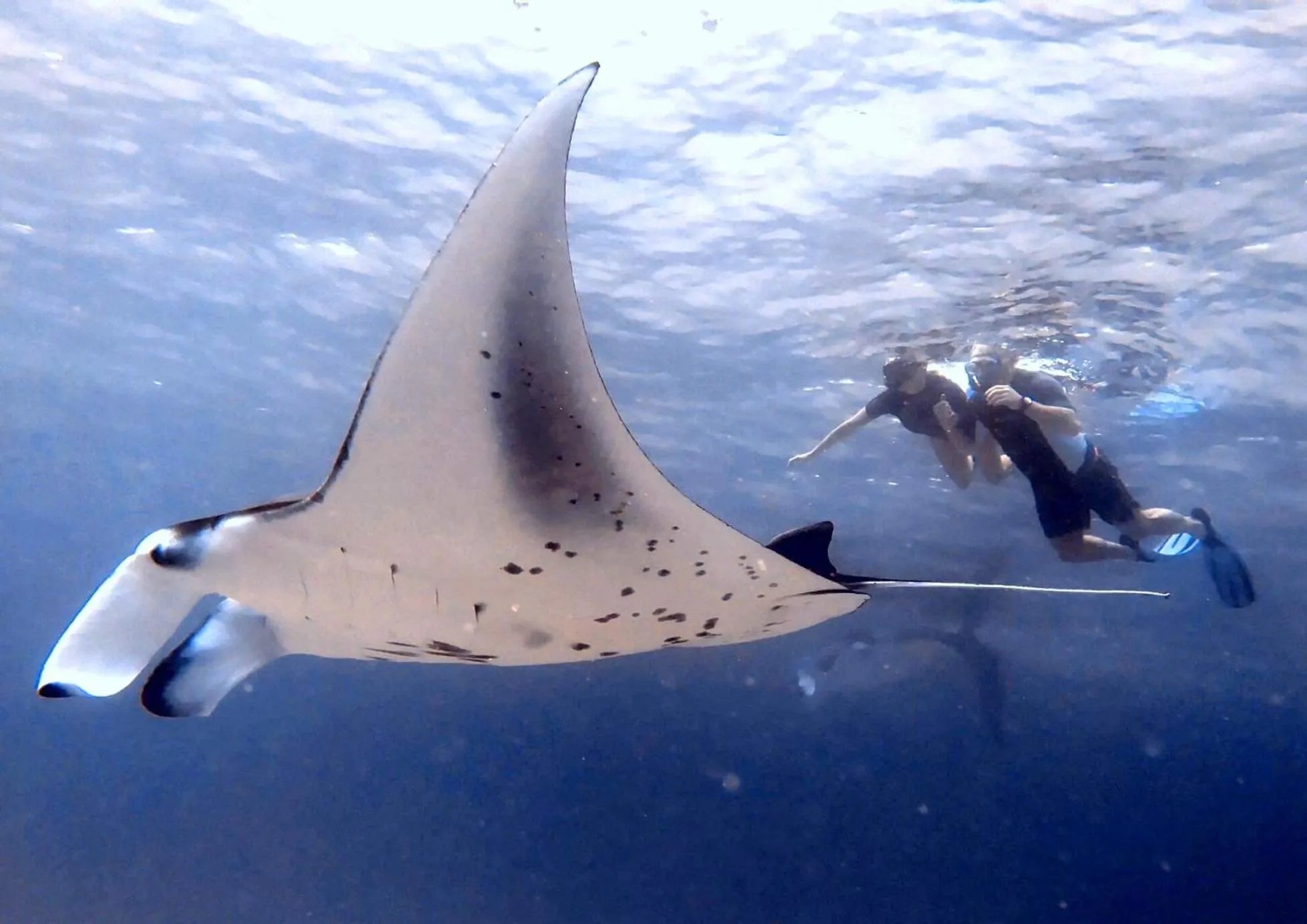 Snorkeling in White Tern Maldives