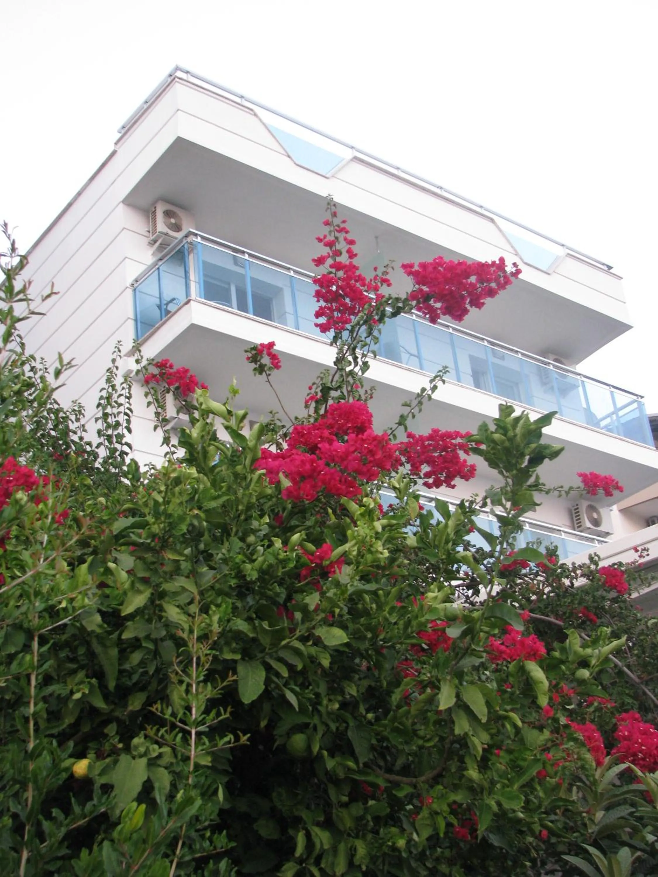 Garden in Rhapsody Hotel Kas