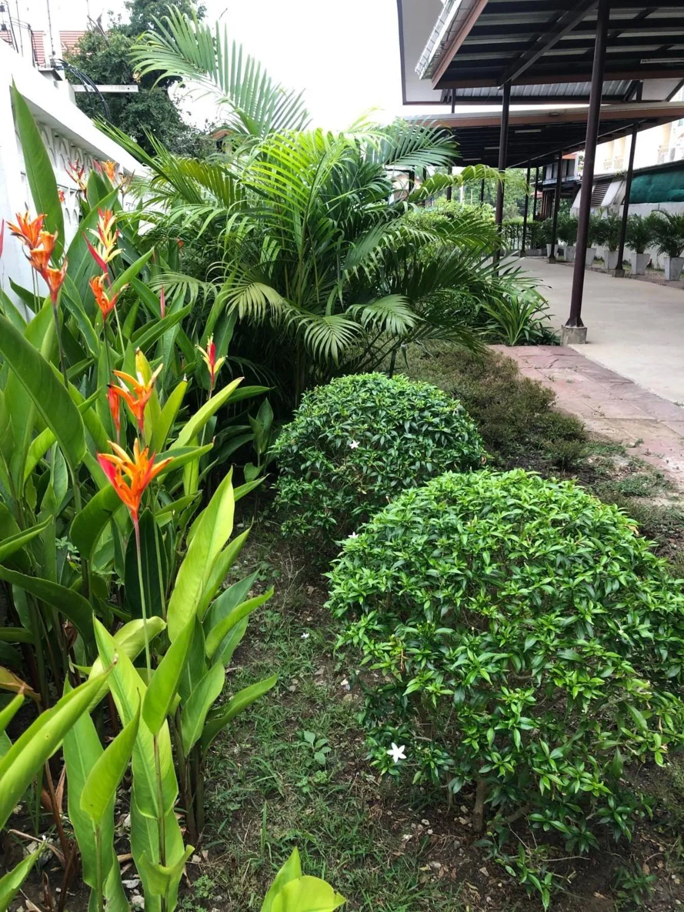 Natural landscape in Phromsuk Hotel Ayutthaya
