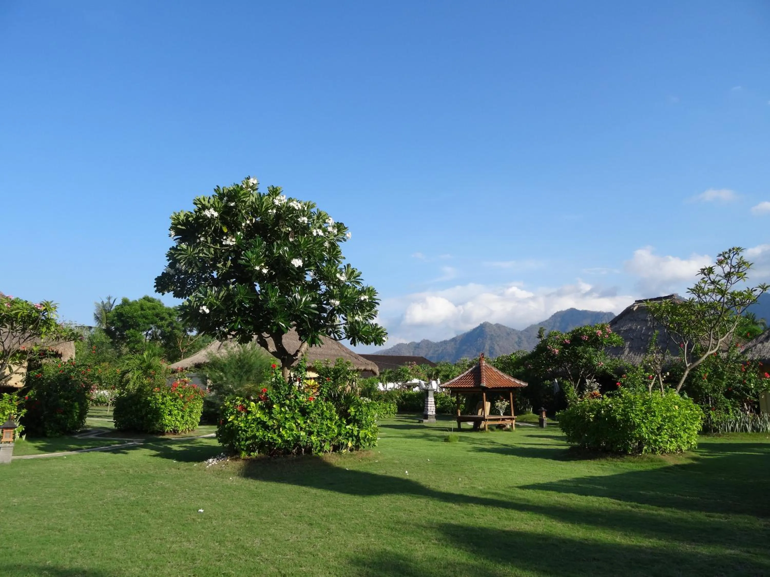 Garden view in Sunia Loka Bungalows & Dive Center
