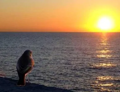 Animals in Hotel Valentino