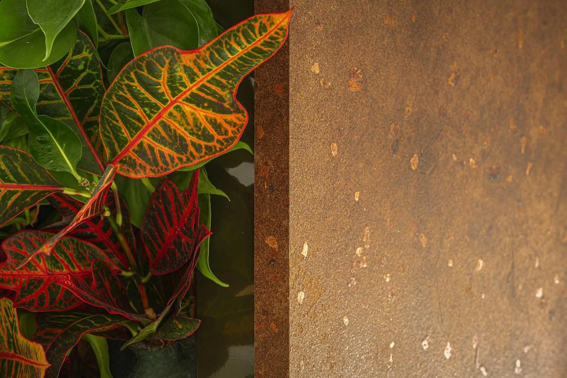 Costa Rica Bibione SPA