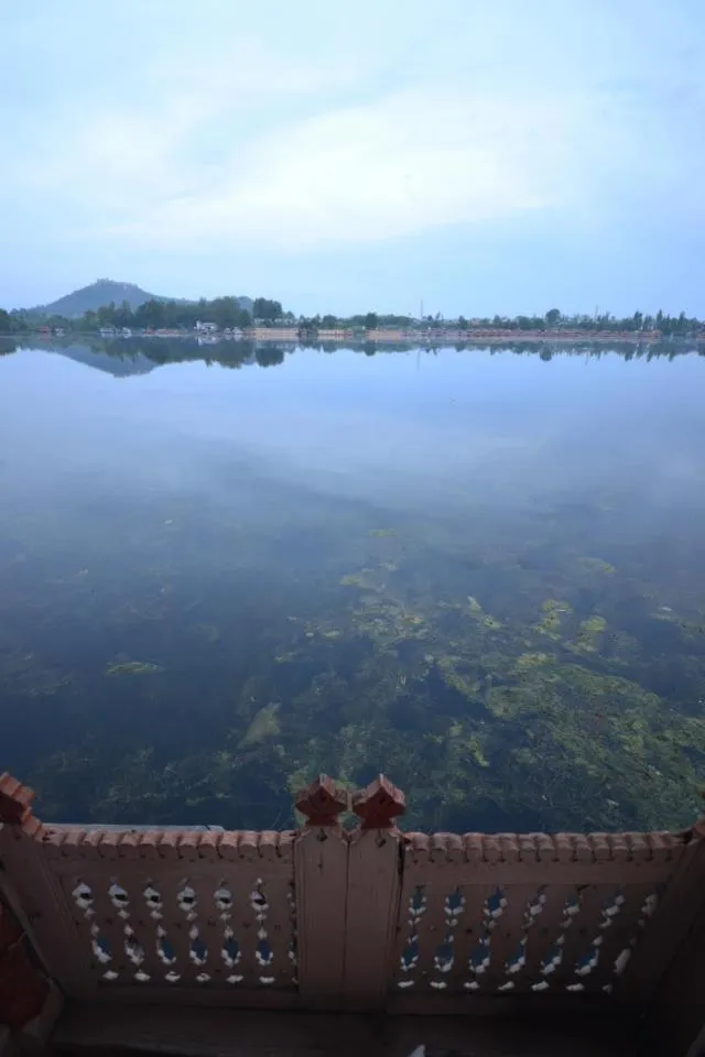 Day in Houseboat Lily of Nageen