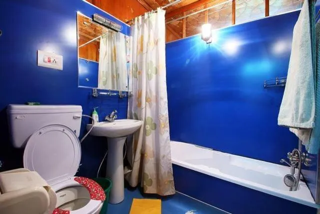 Shower in Houseboat Lily of Nageen