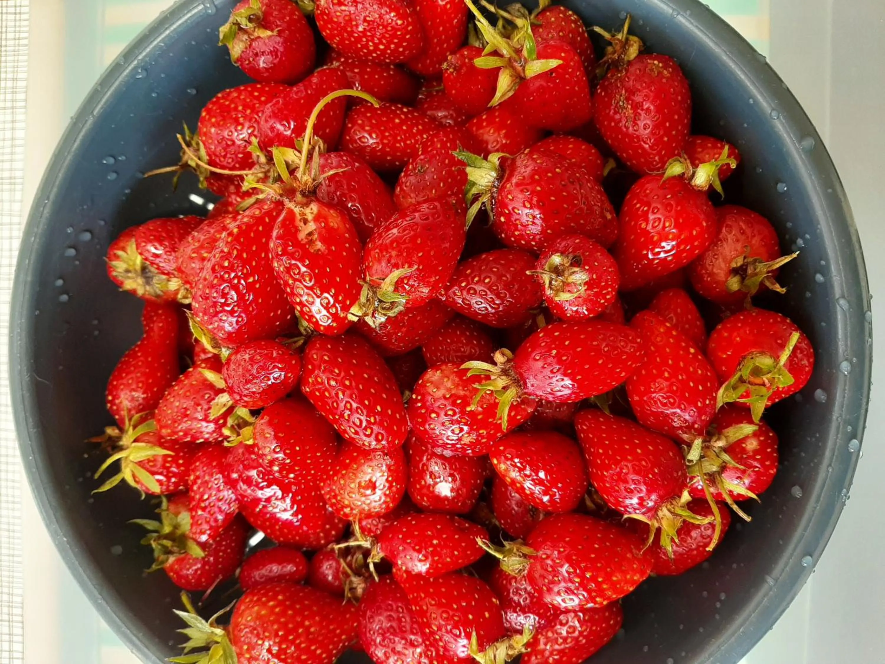 Food in Chez Blandine & Pol