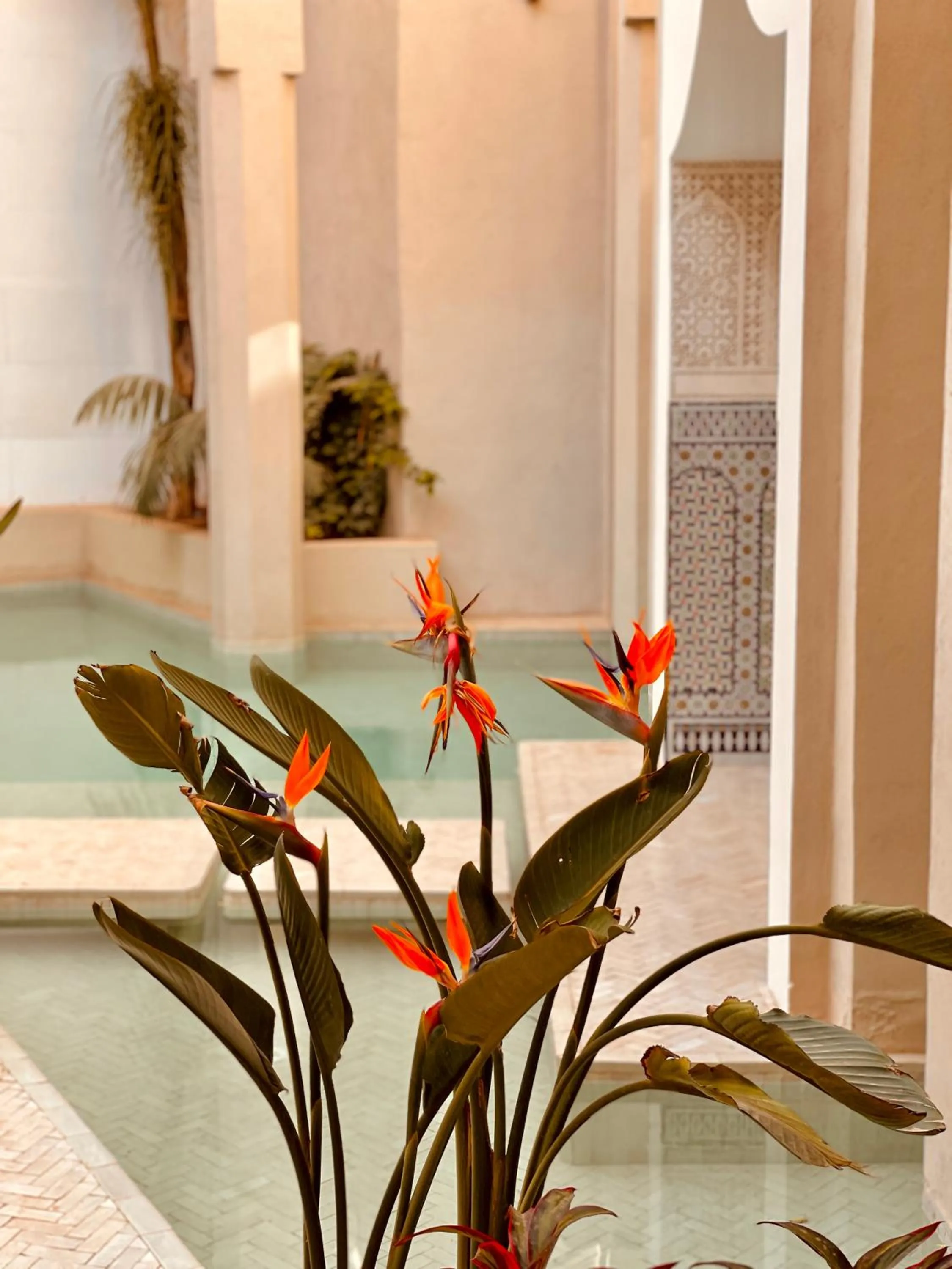 Pool view in 72 Hotel & Spa