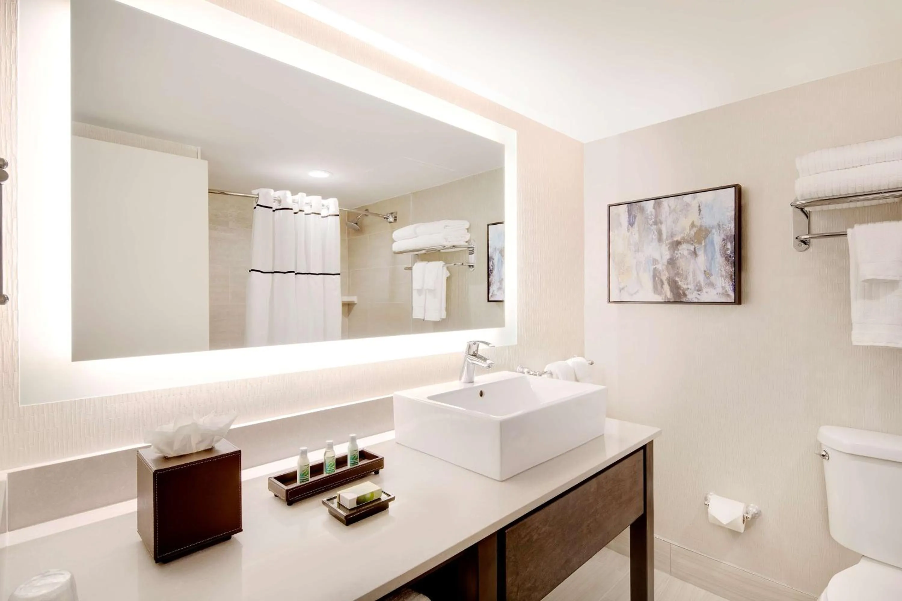 Bathroom in The Florida Hotel & Conference Center in the Florida Mall