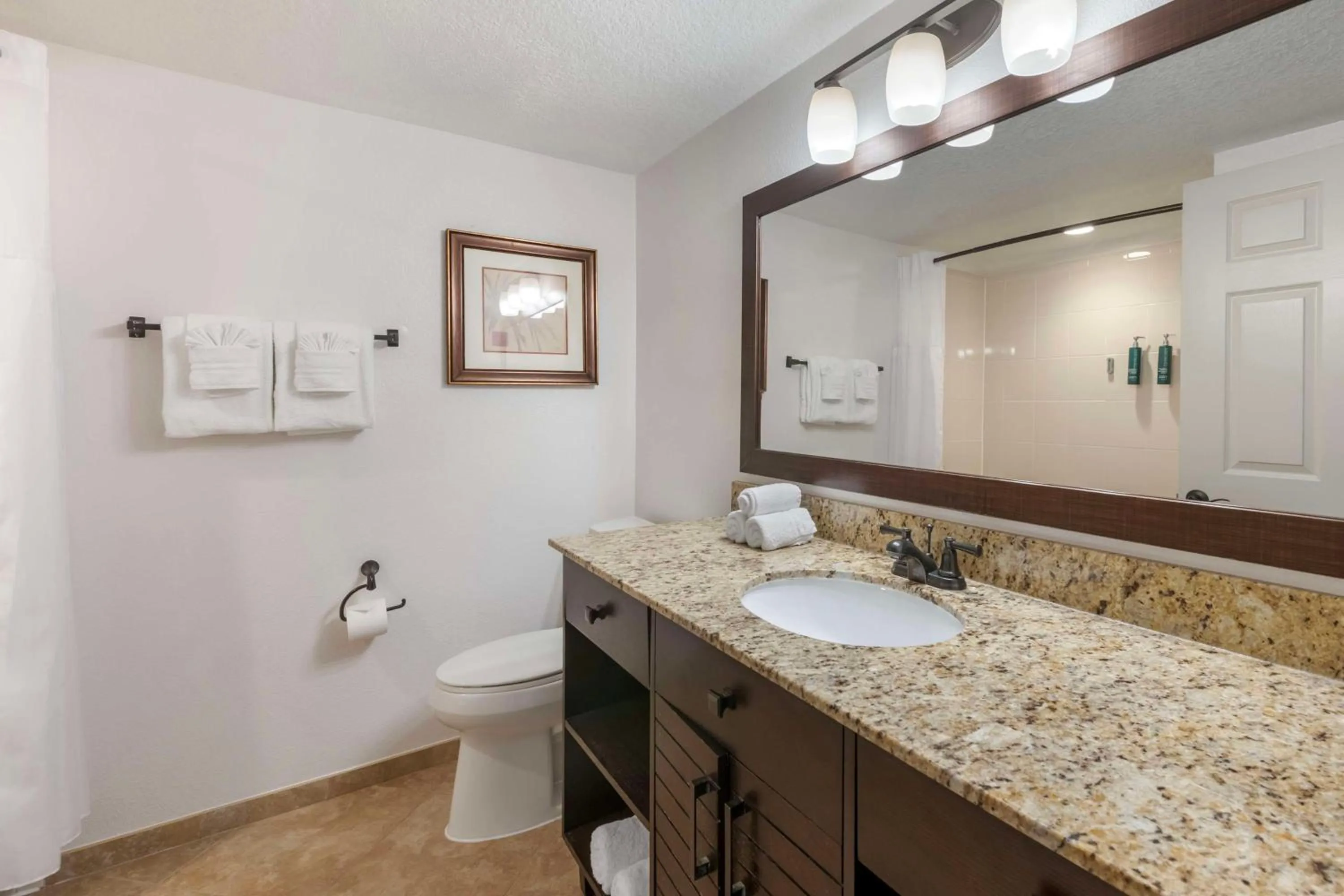 Bathroom in Hilton Vacation Club Aqua Sol Orlando West