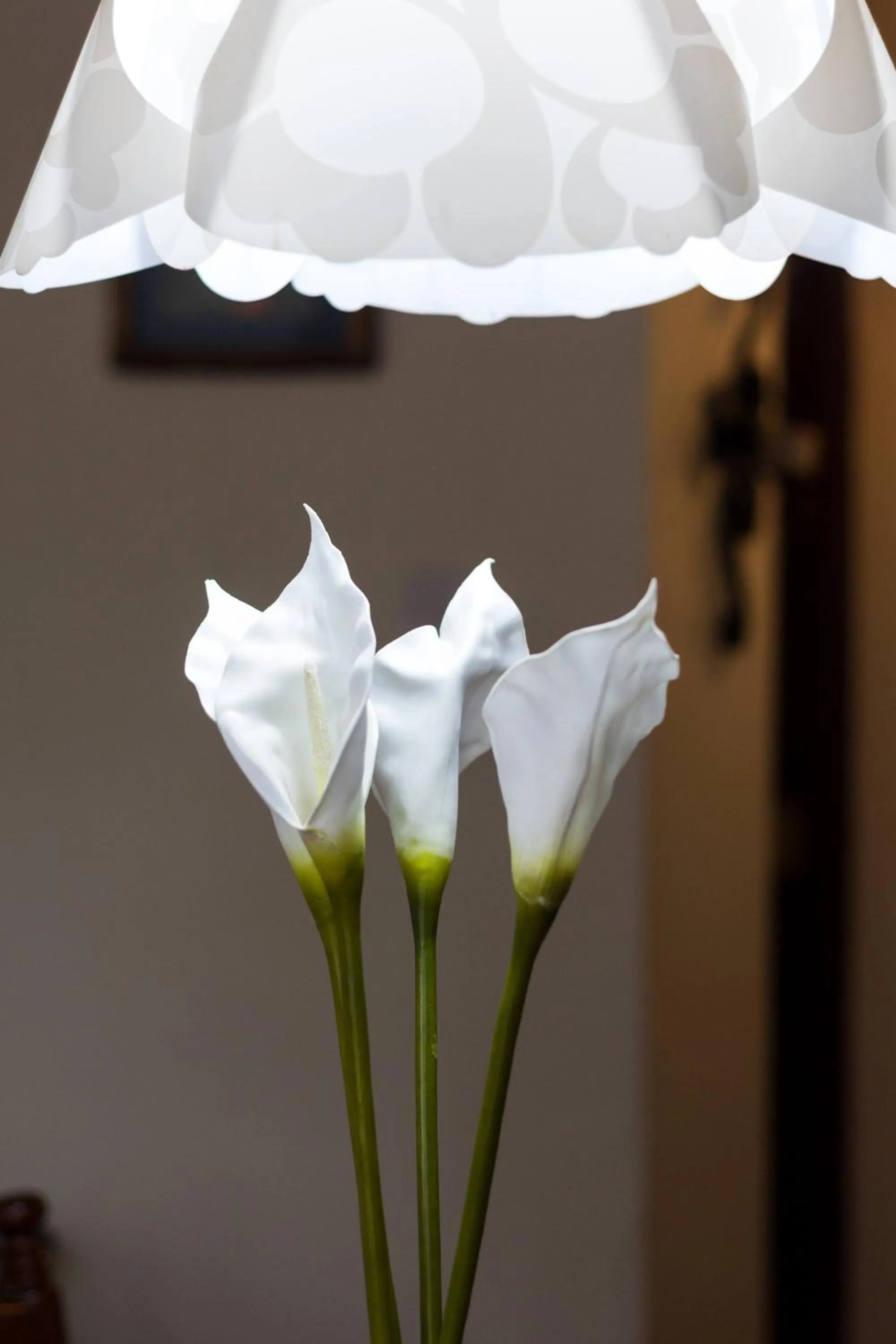 Dining area in Takdiri Homes