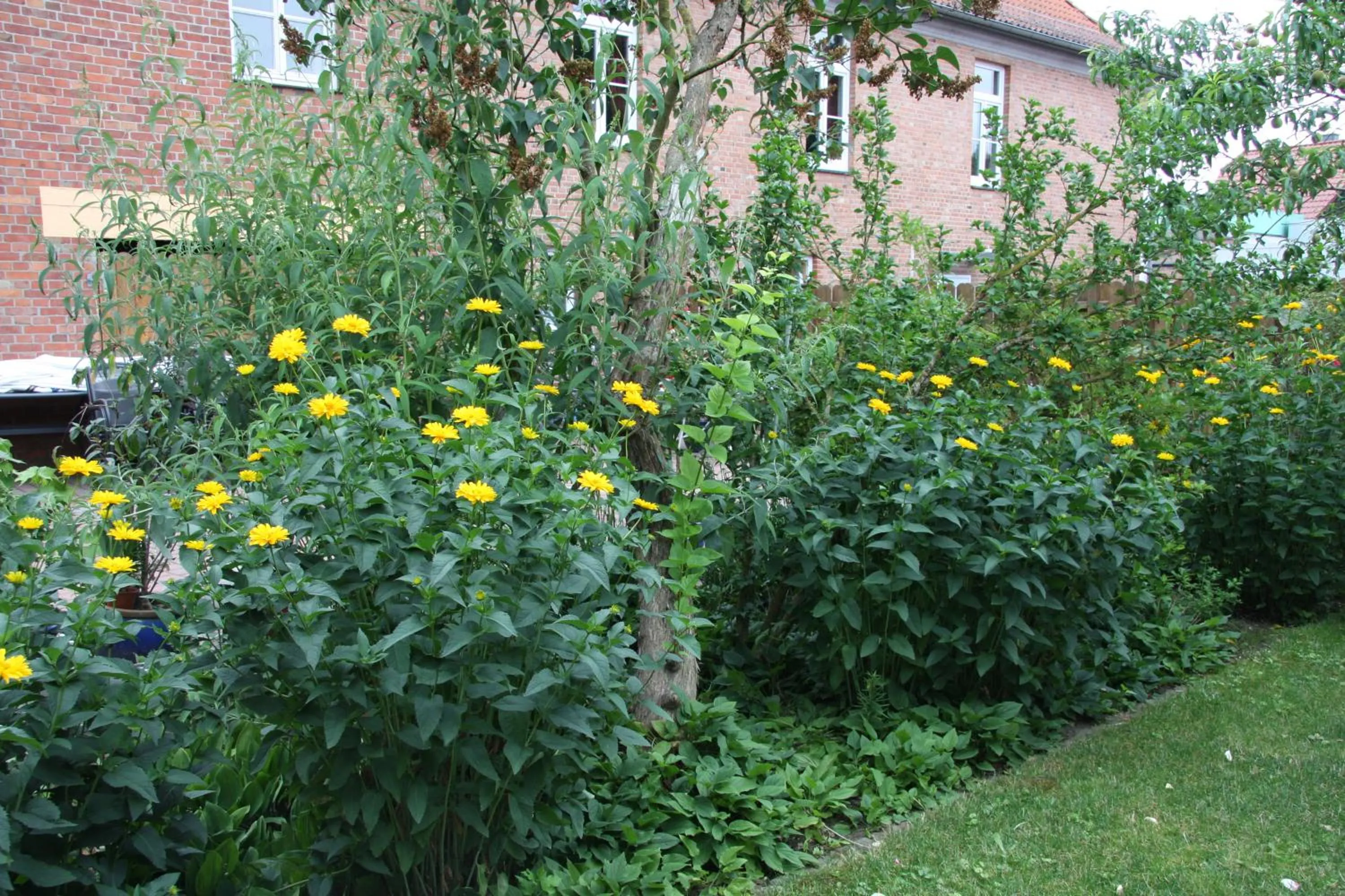 Hotel und Restaurant Knesebecker Hof