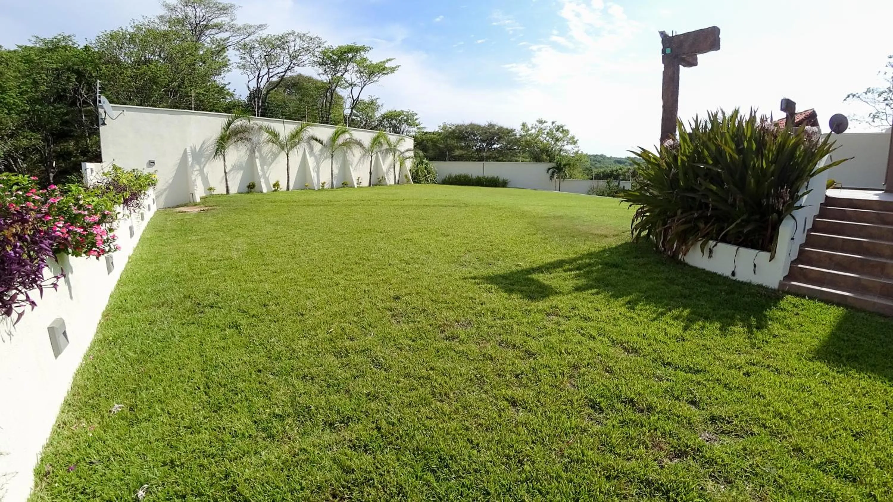 Garden in Pacific King Hotel