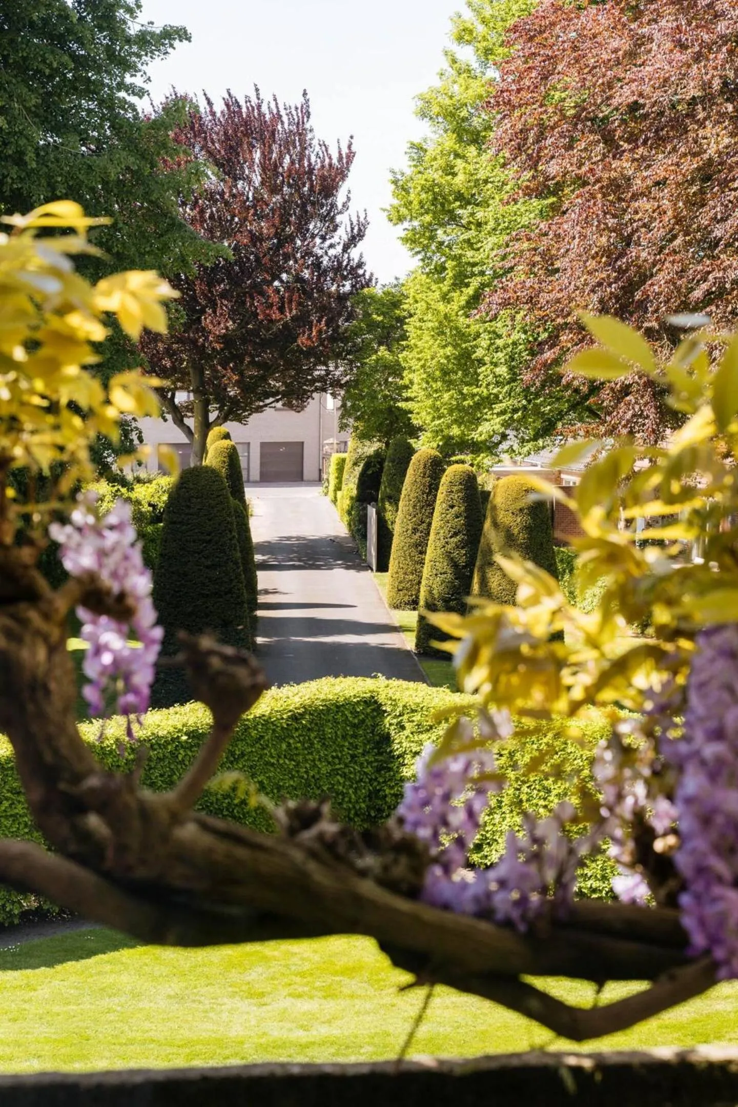 Garden in Boutique Hotel Ter Wallen