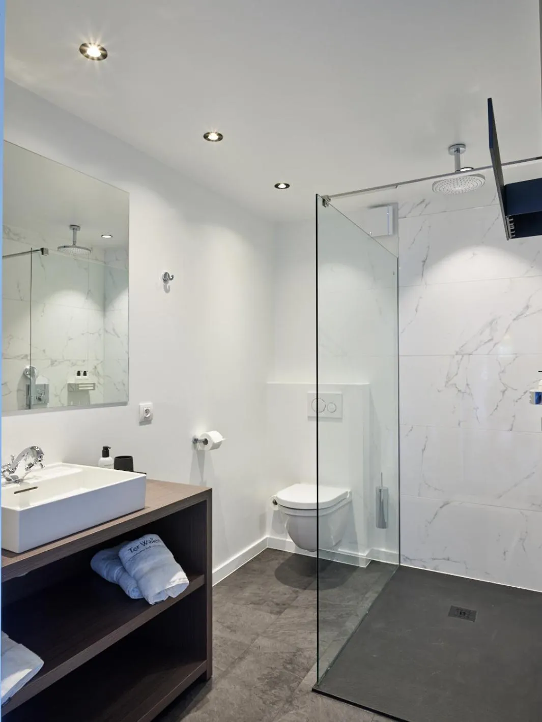 Toilet in Boutique Hotel Ter Wallen