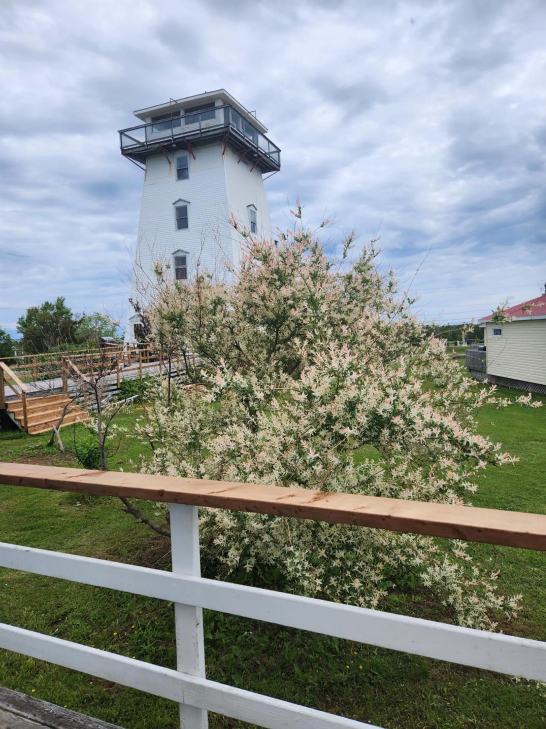 Inner courtyard view in Baywatch Lighthouse Cottages & Motel