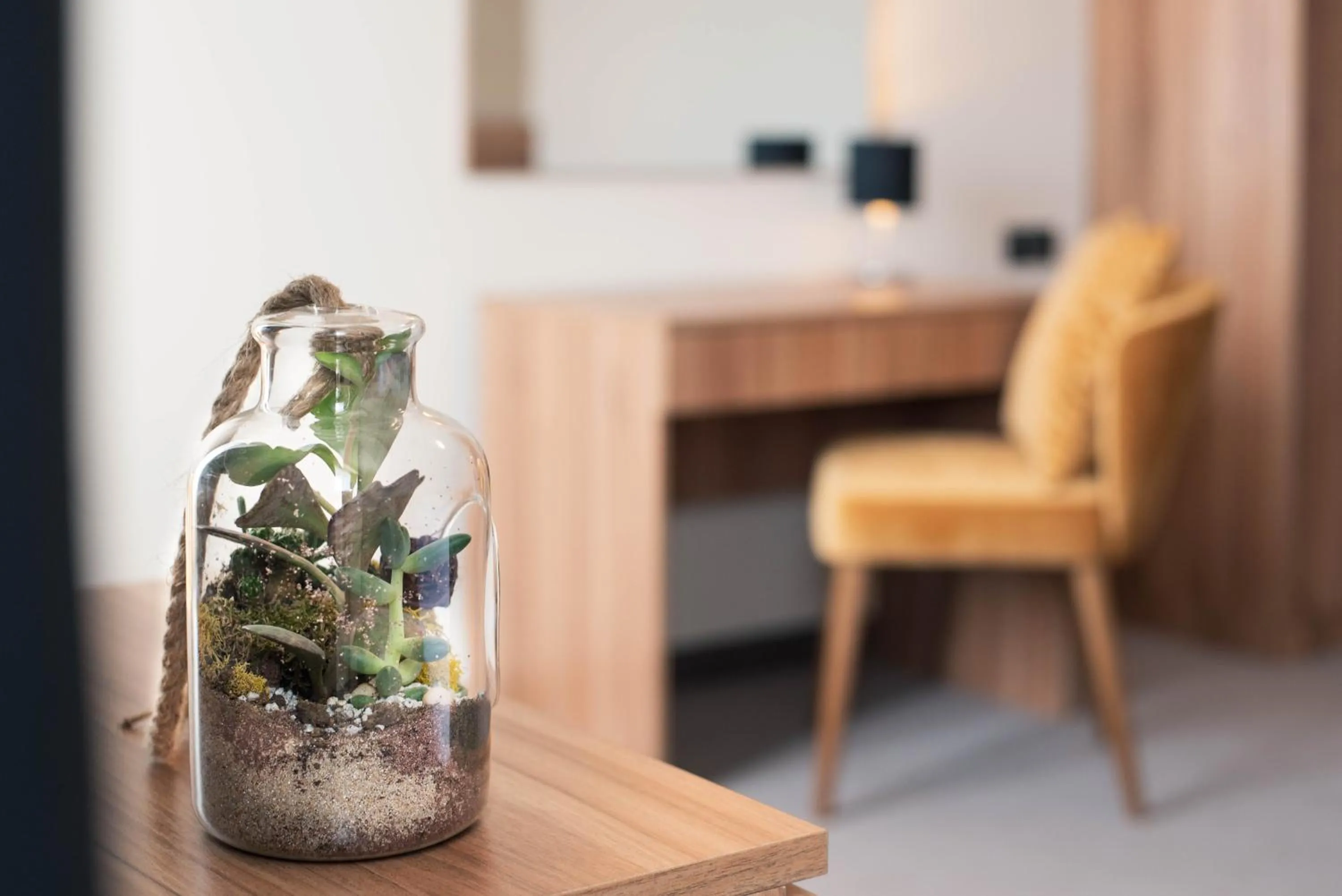 Photo of the whole room in Hotel Aloha