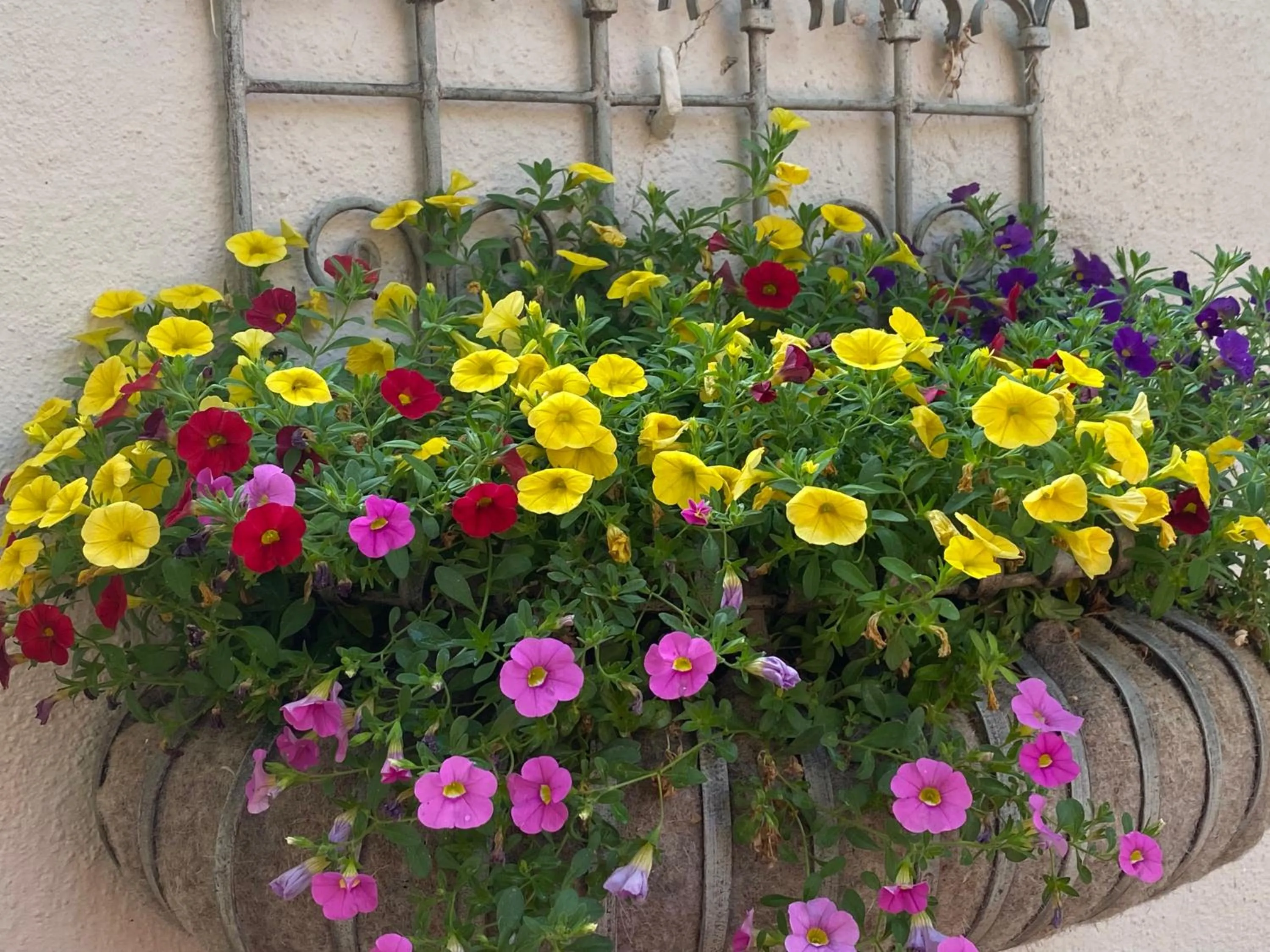 Decorative detail in Sainte-Hélène Chambres d'Hôtes & Appartement
