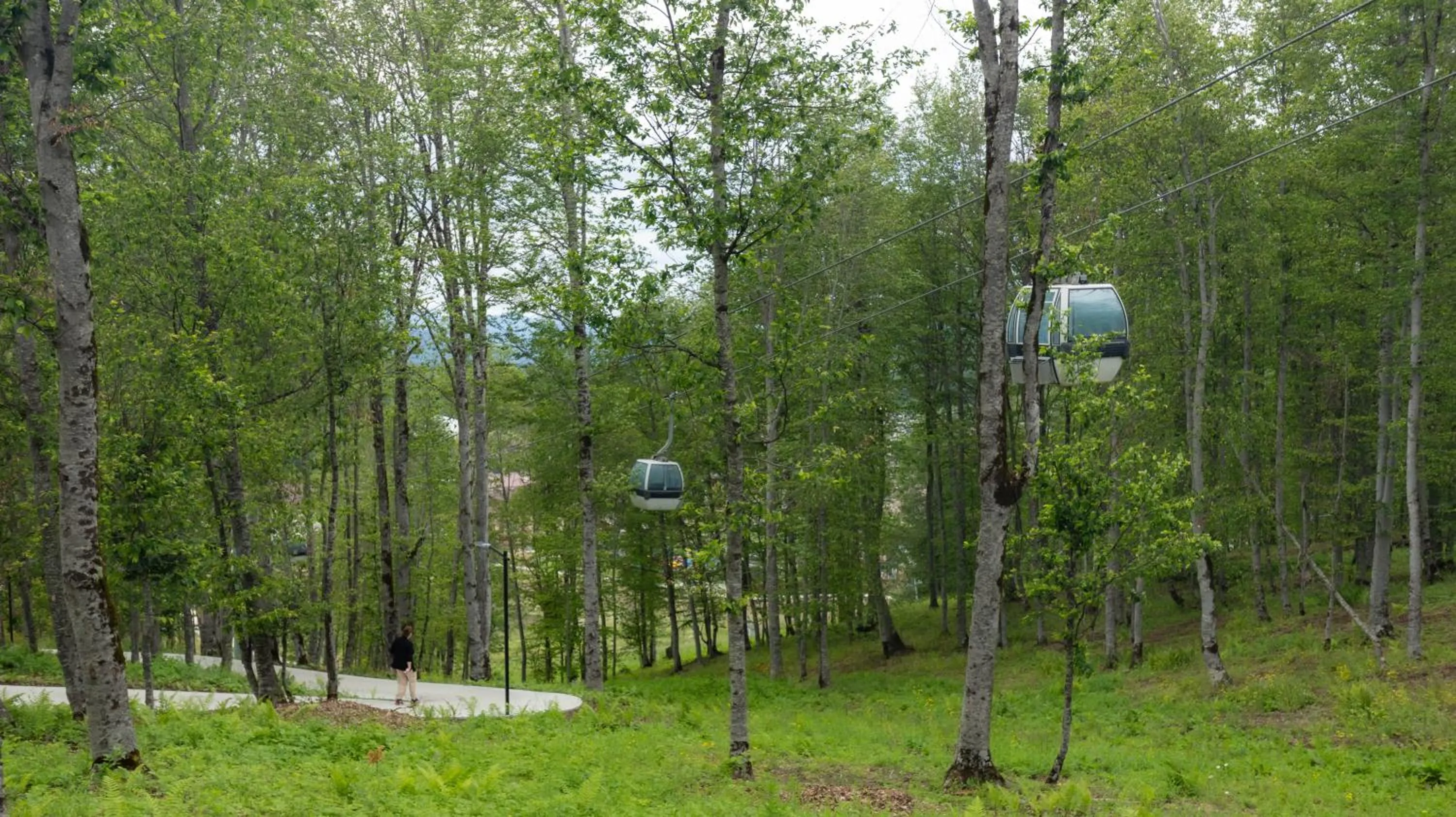 Garden in Crystal Hotel & SPA