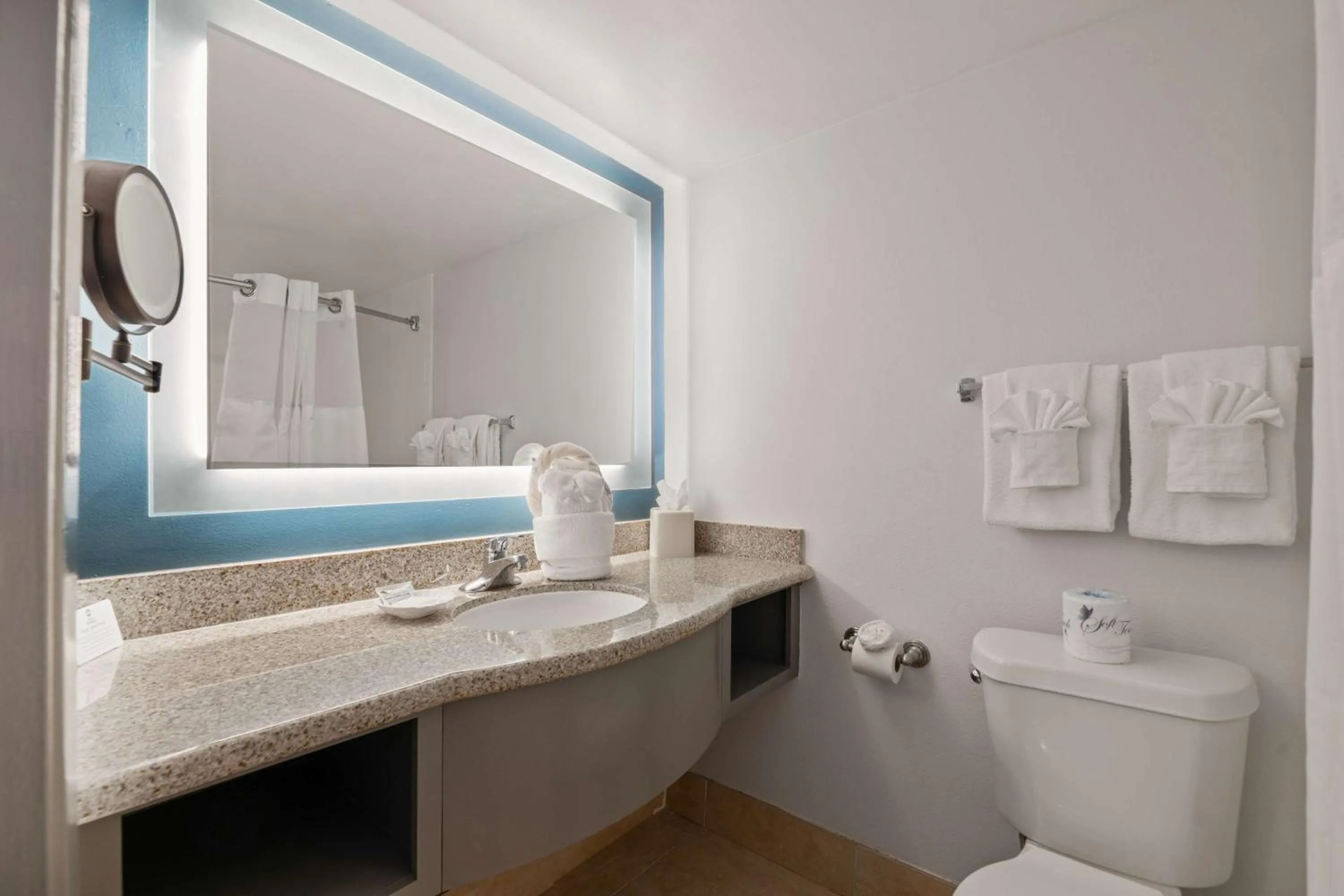 Bathroom in Best Western Orlando Gateway Hotel