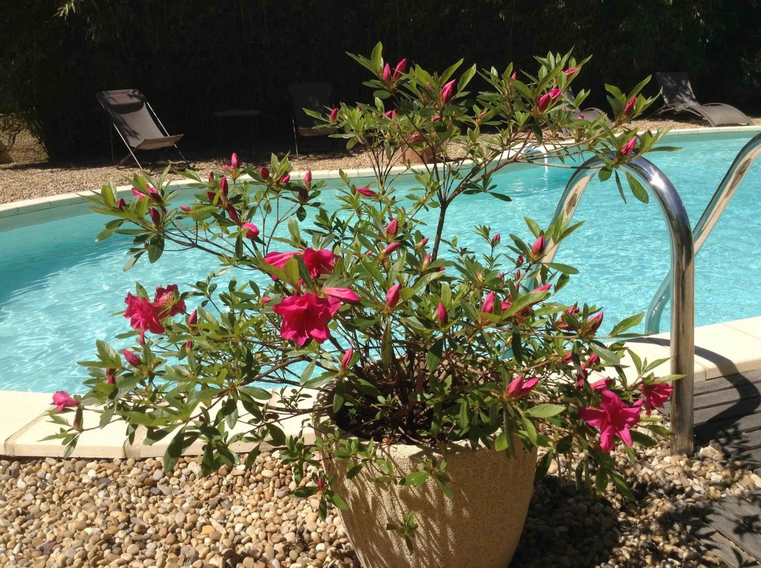 Day in Aux Anges Gardiens