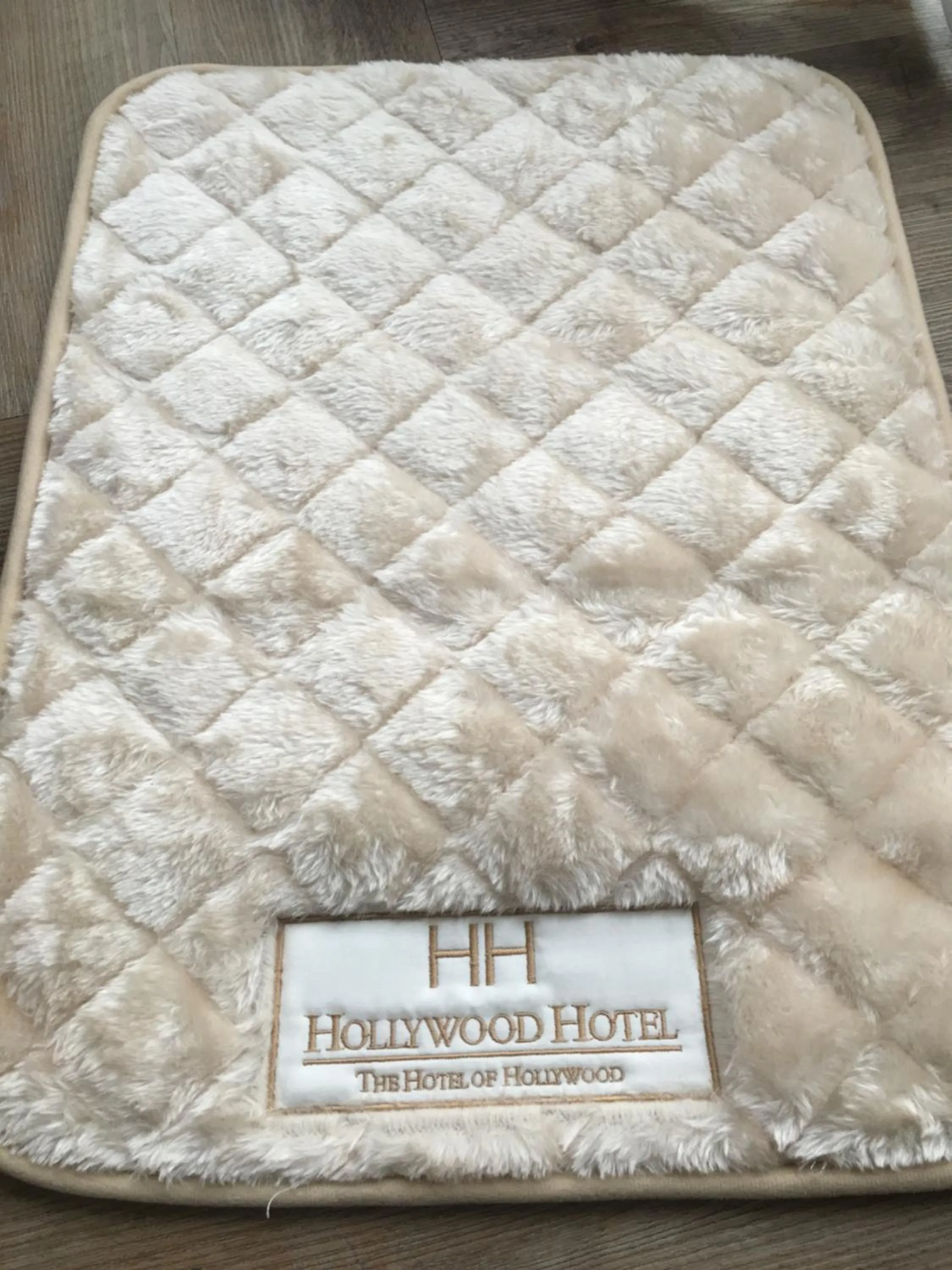 Animals in Hollywood Hotel