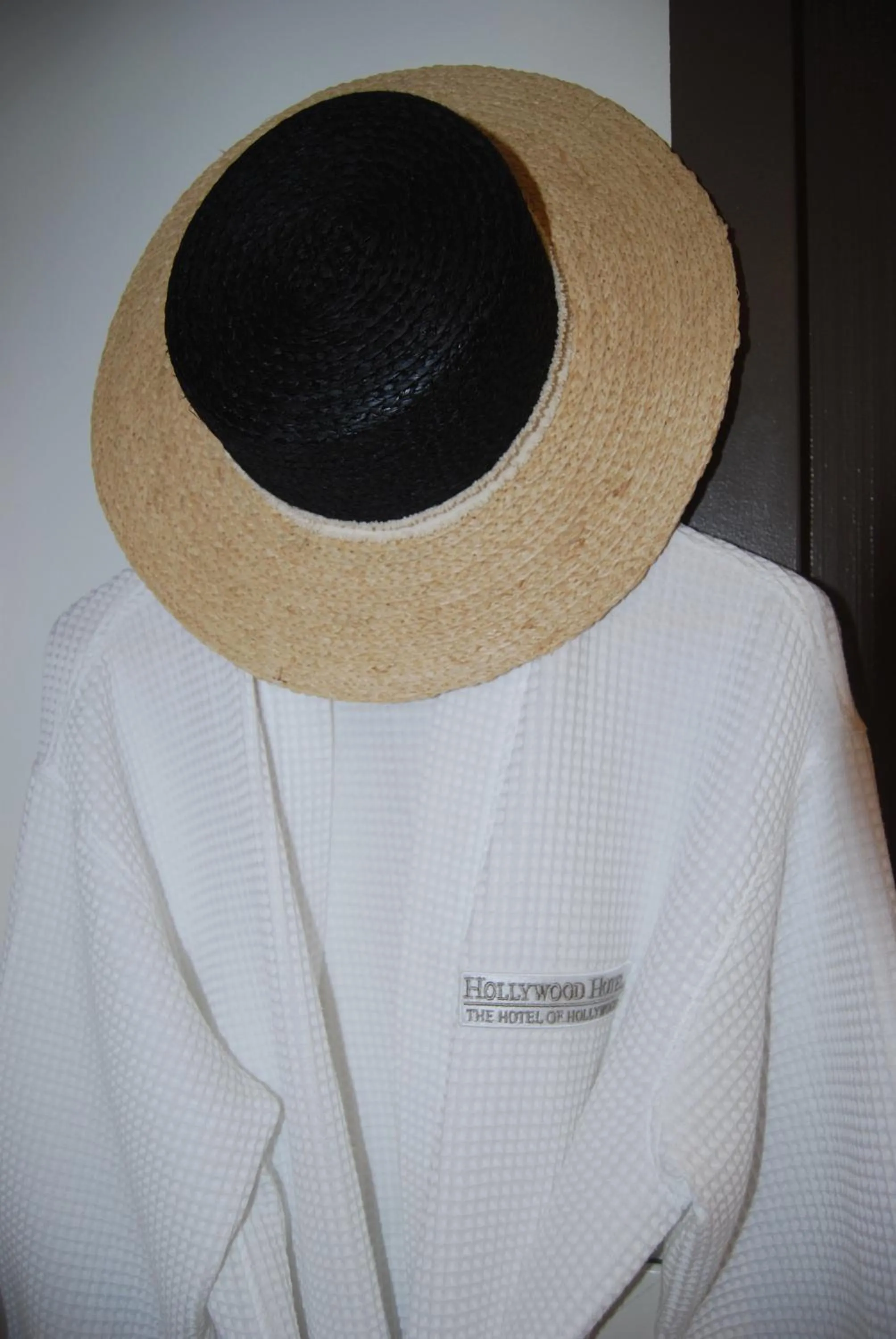 Area and facilities in Hollywood Hotel