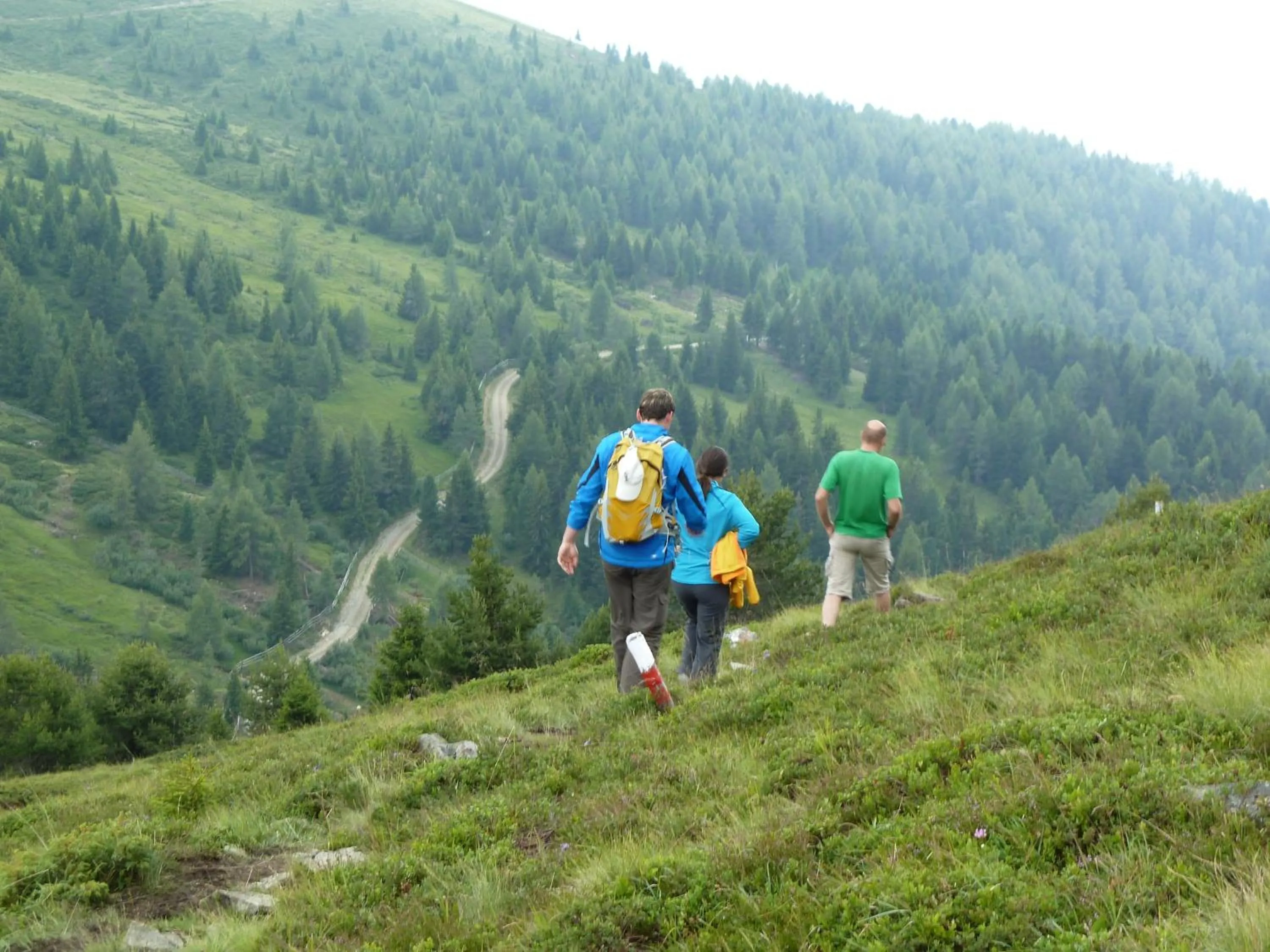 Hiking in Berggasthof Häusler