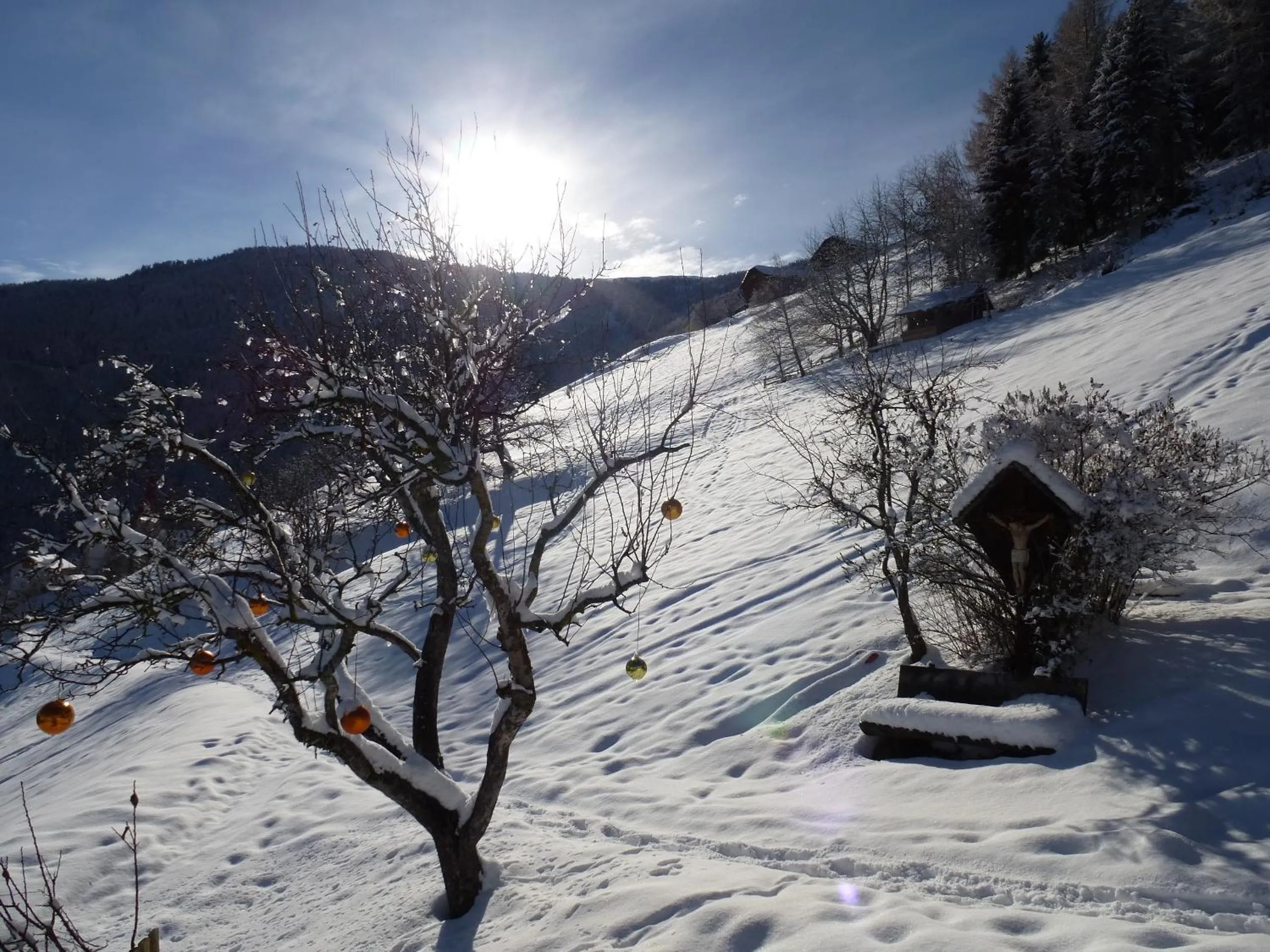 View (from property/room) in Berggasthof Häusler