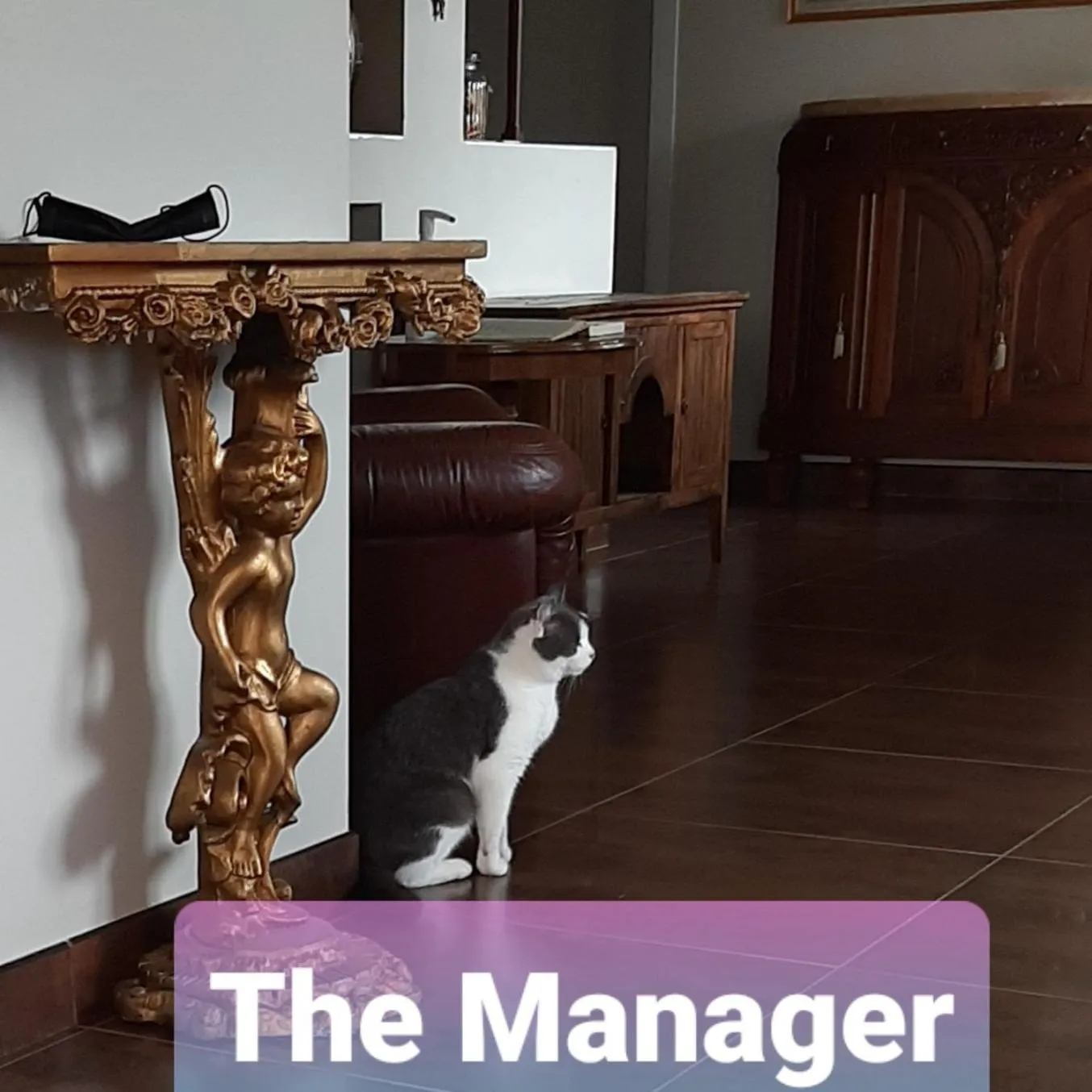 B&B La Fenice sul Lago