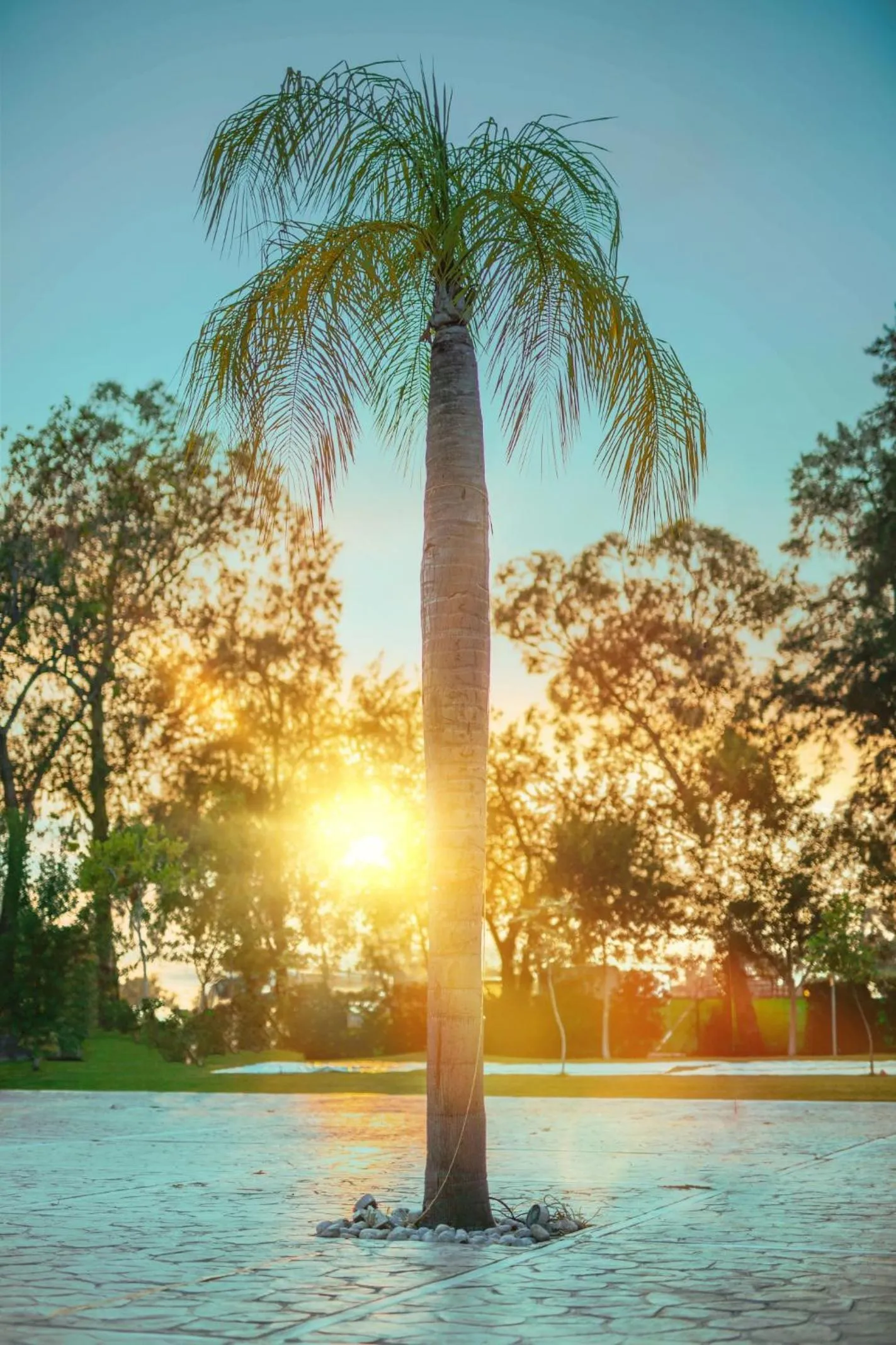 Gran Hotel Las Fuentes