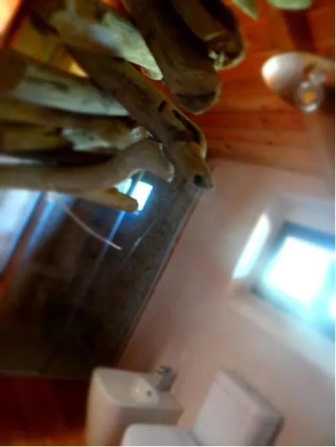 tenuta i musi lunghi