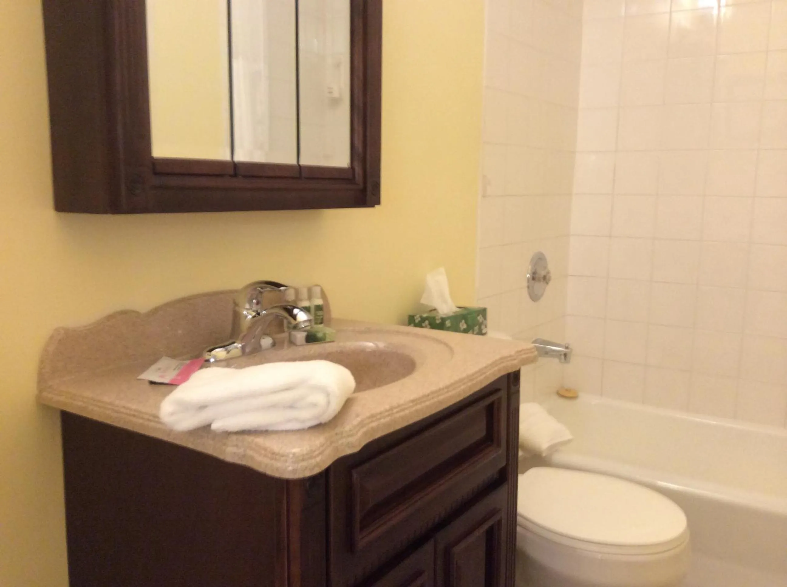 Bathroom in Chipman Hill Suites - Sydney Street