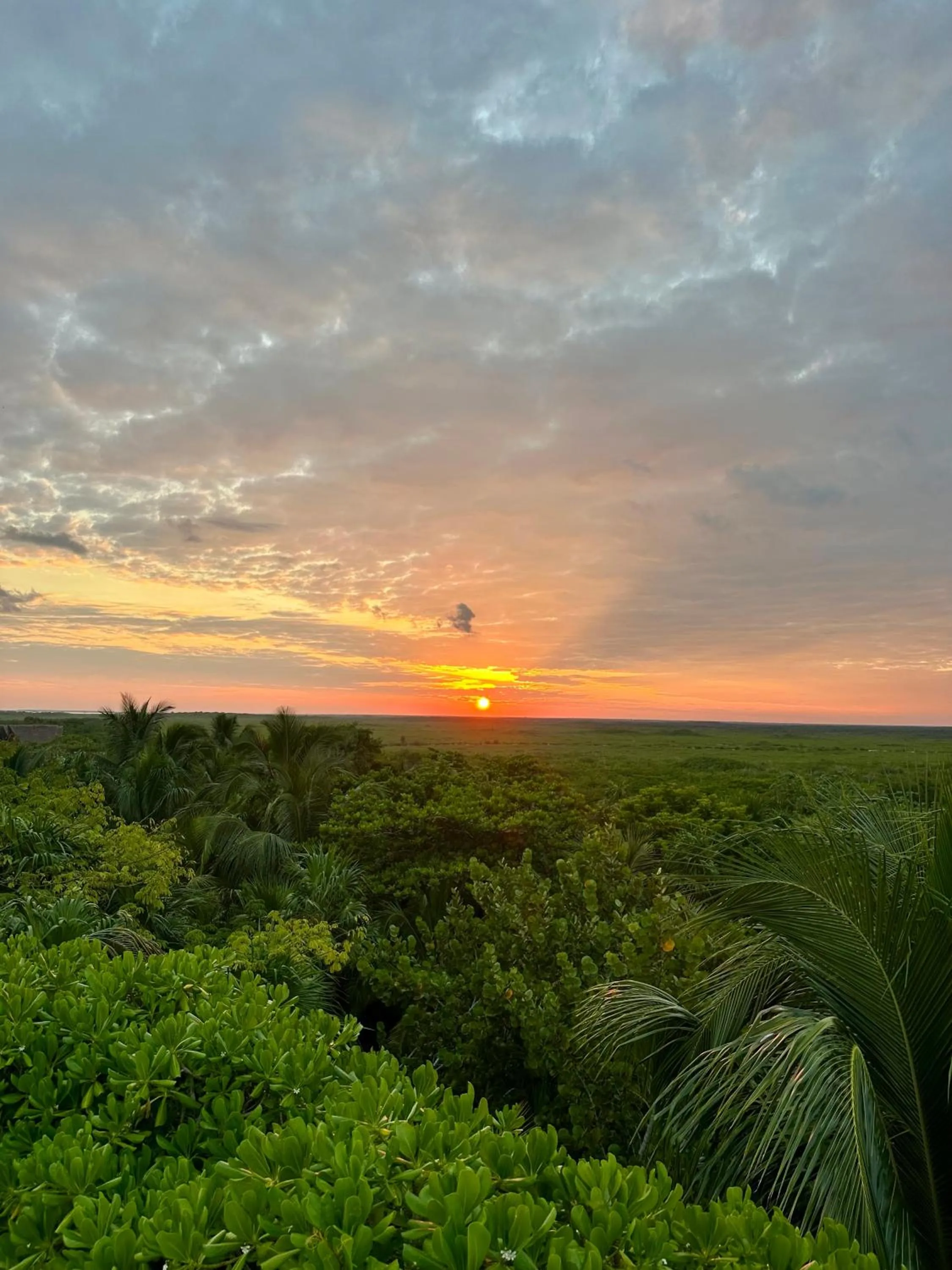 Sunset in Sueños Tulum