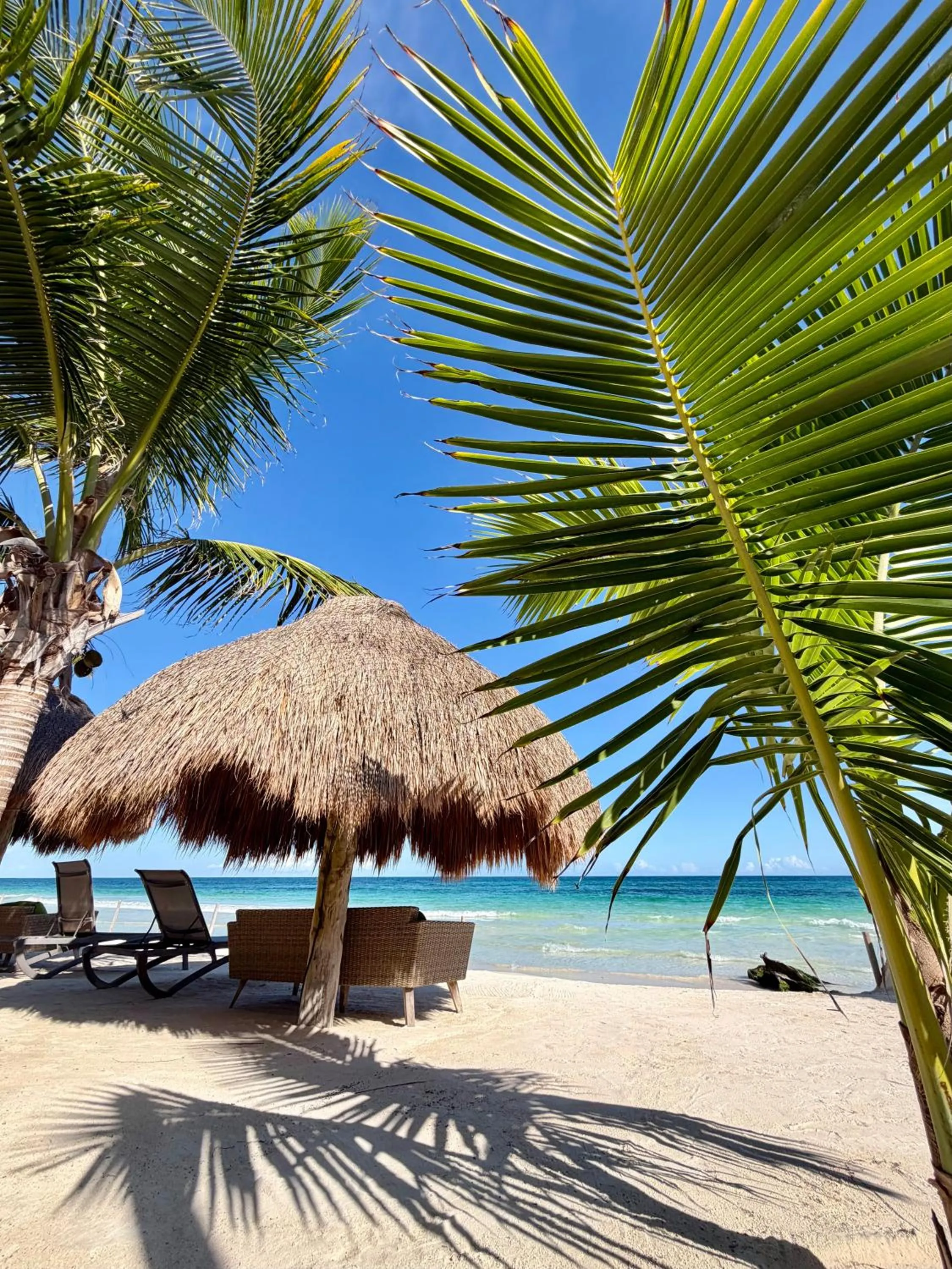 Beach in Sueños Tulum