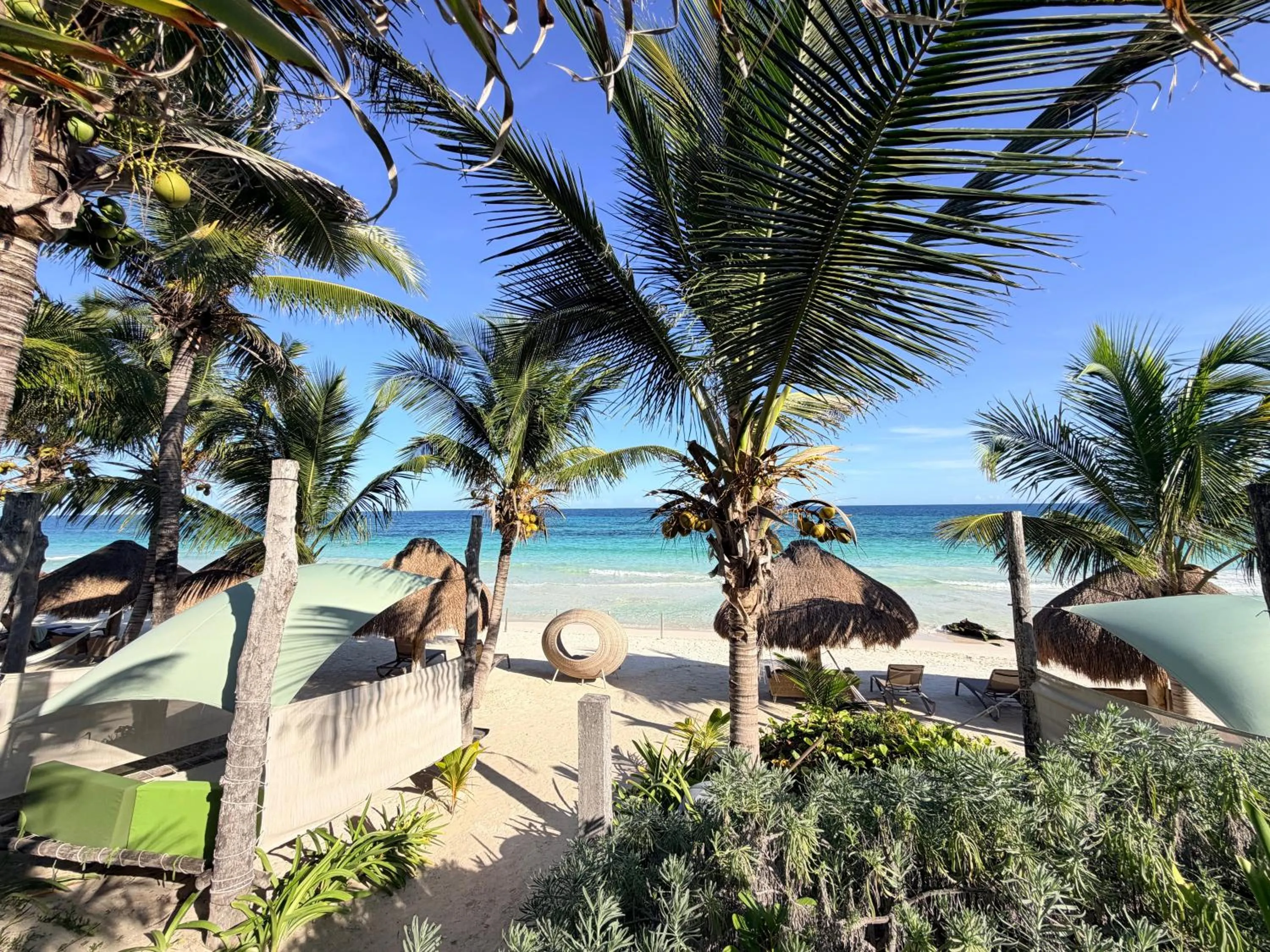 Beach in Sueños Tulum