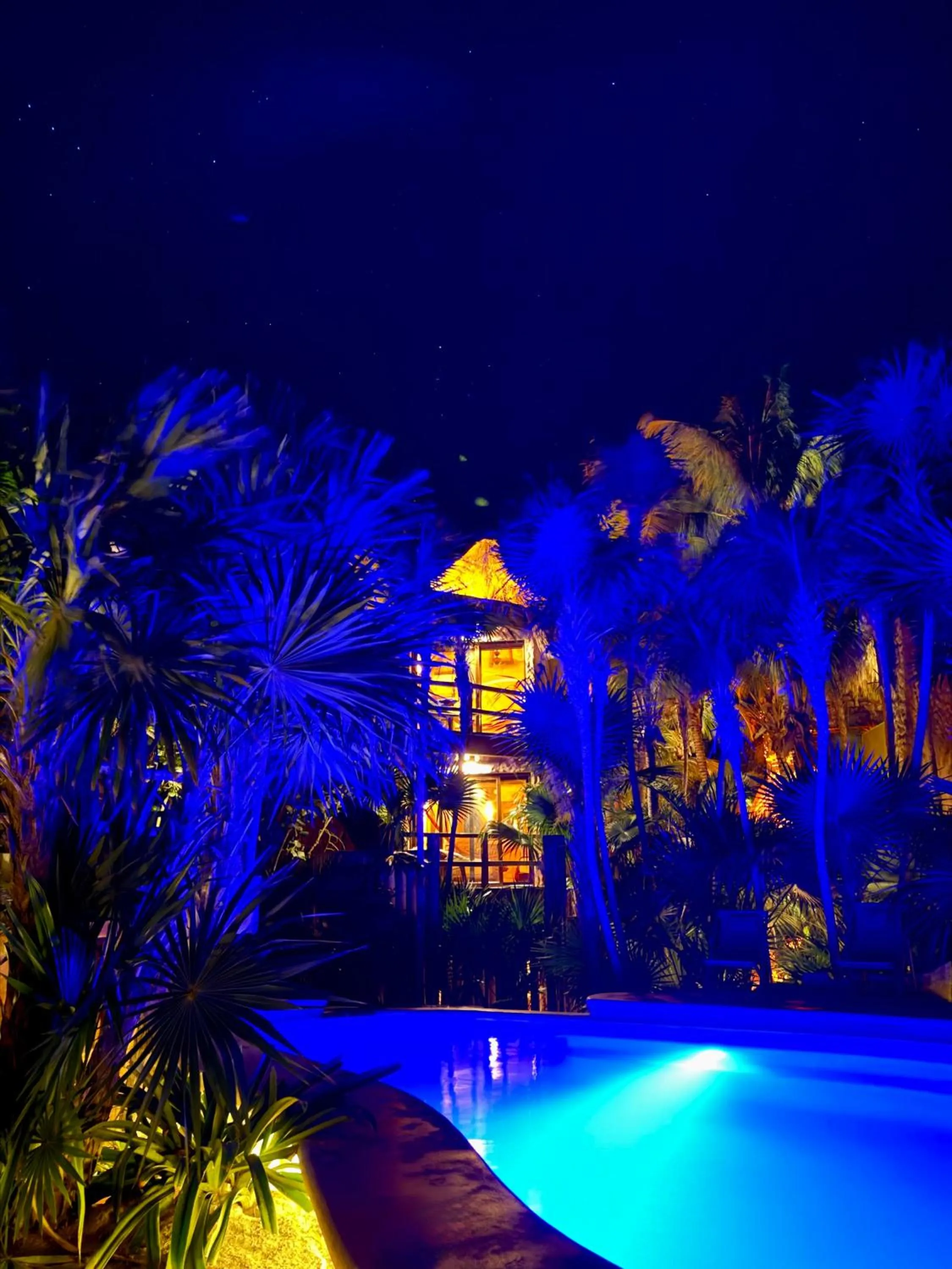 Swimming pool in Sueños Tulum