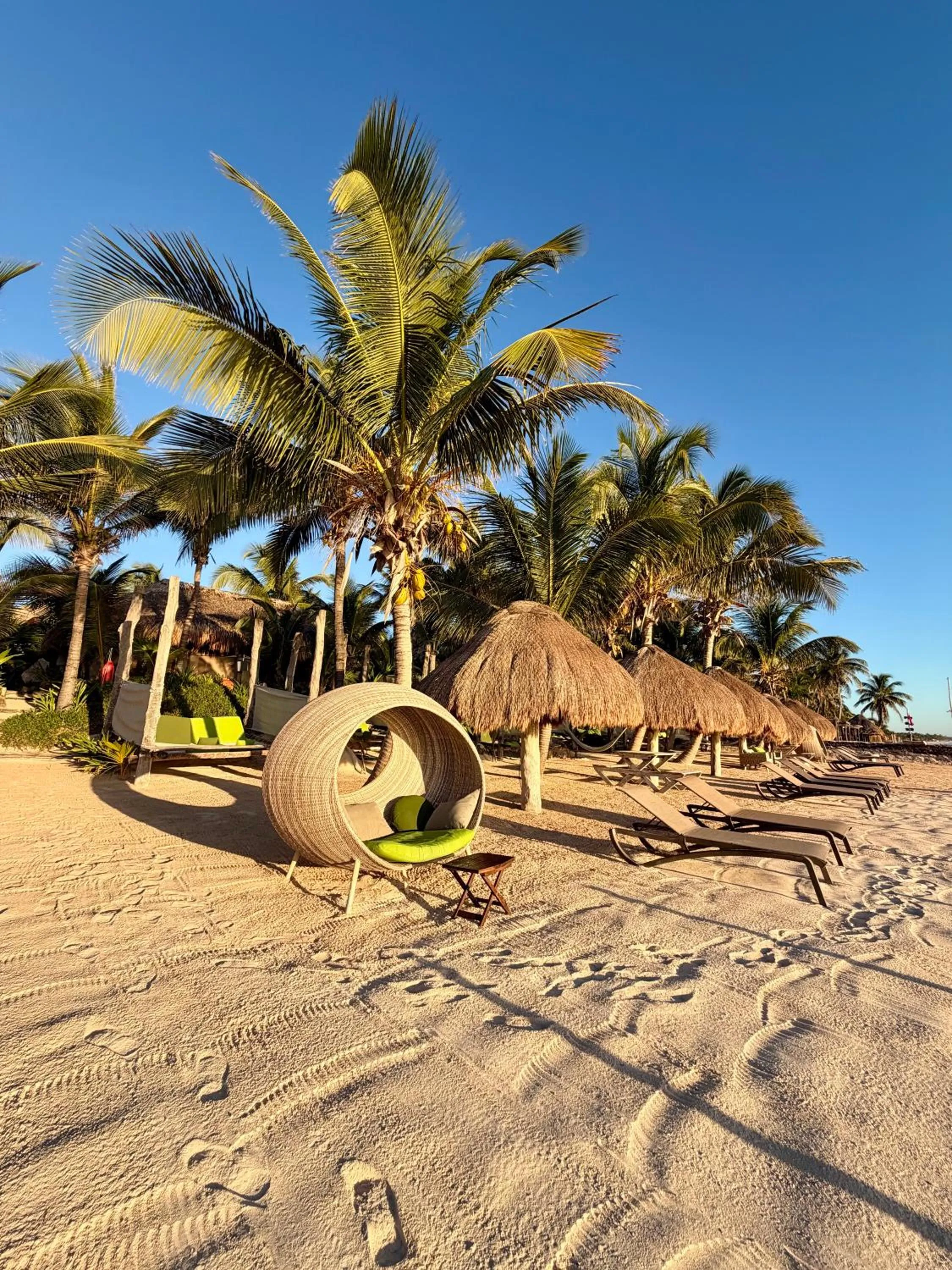 Beach in Sueños Tulum